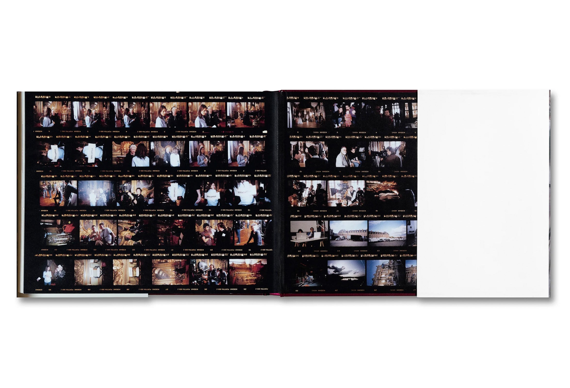 MAKING MARIE ANTOINETTE by Andrew Durham