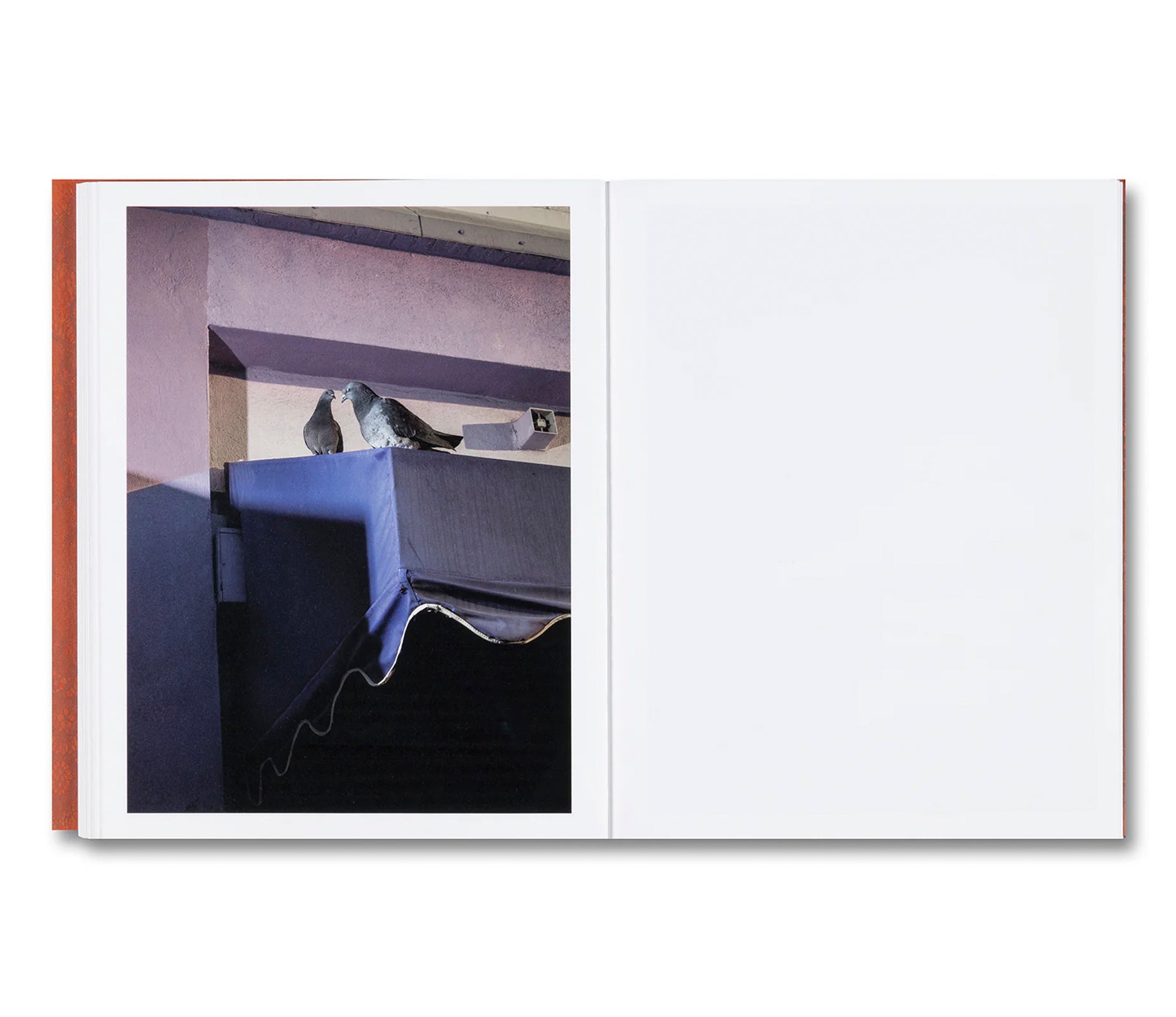 I’LL LET YOU BE IN MY DREAMS IF I CAN BE IN YOURS by Carolyn Drake, Andres Gonzalez [SIGNED]