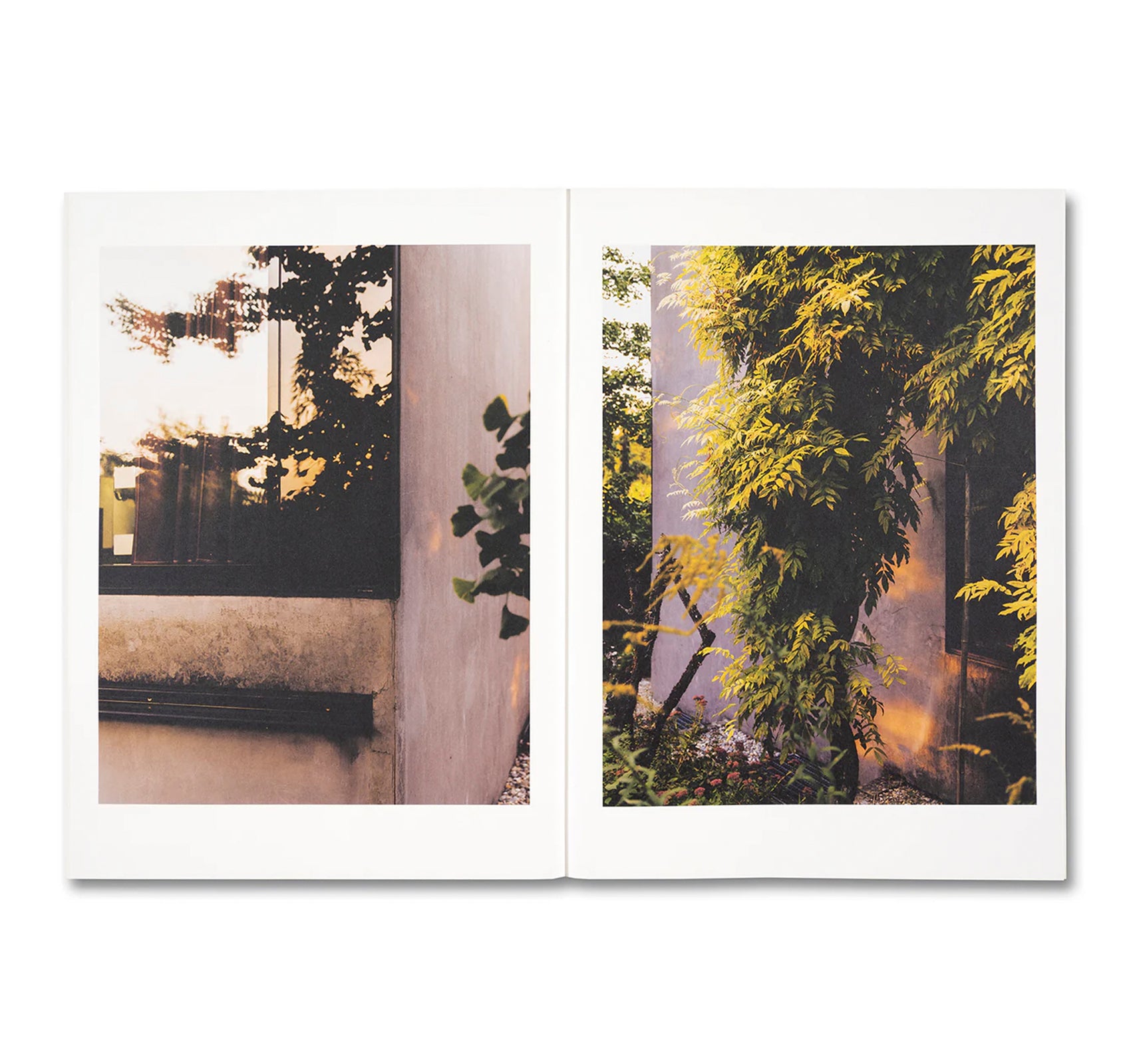 KOECHLIN HOUSE by Daisuke Hirabayashi