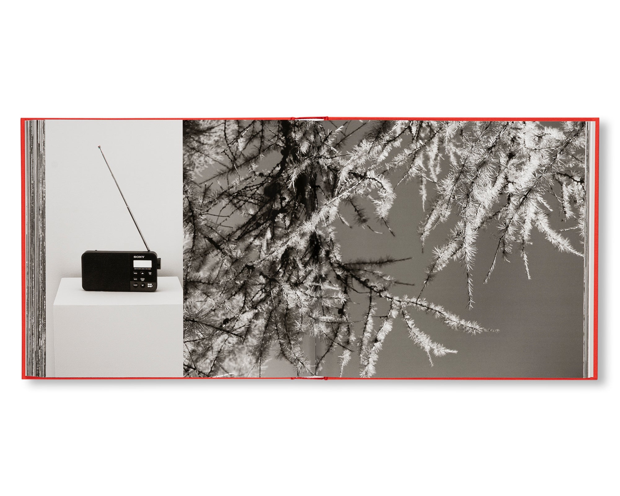 WADE GUYTON, PETER FISCHLI, DAVID WEISS by Wade Guyton, Peter Fischli, David Weiss