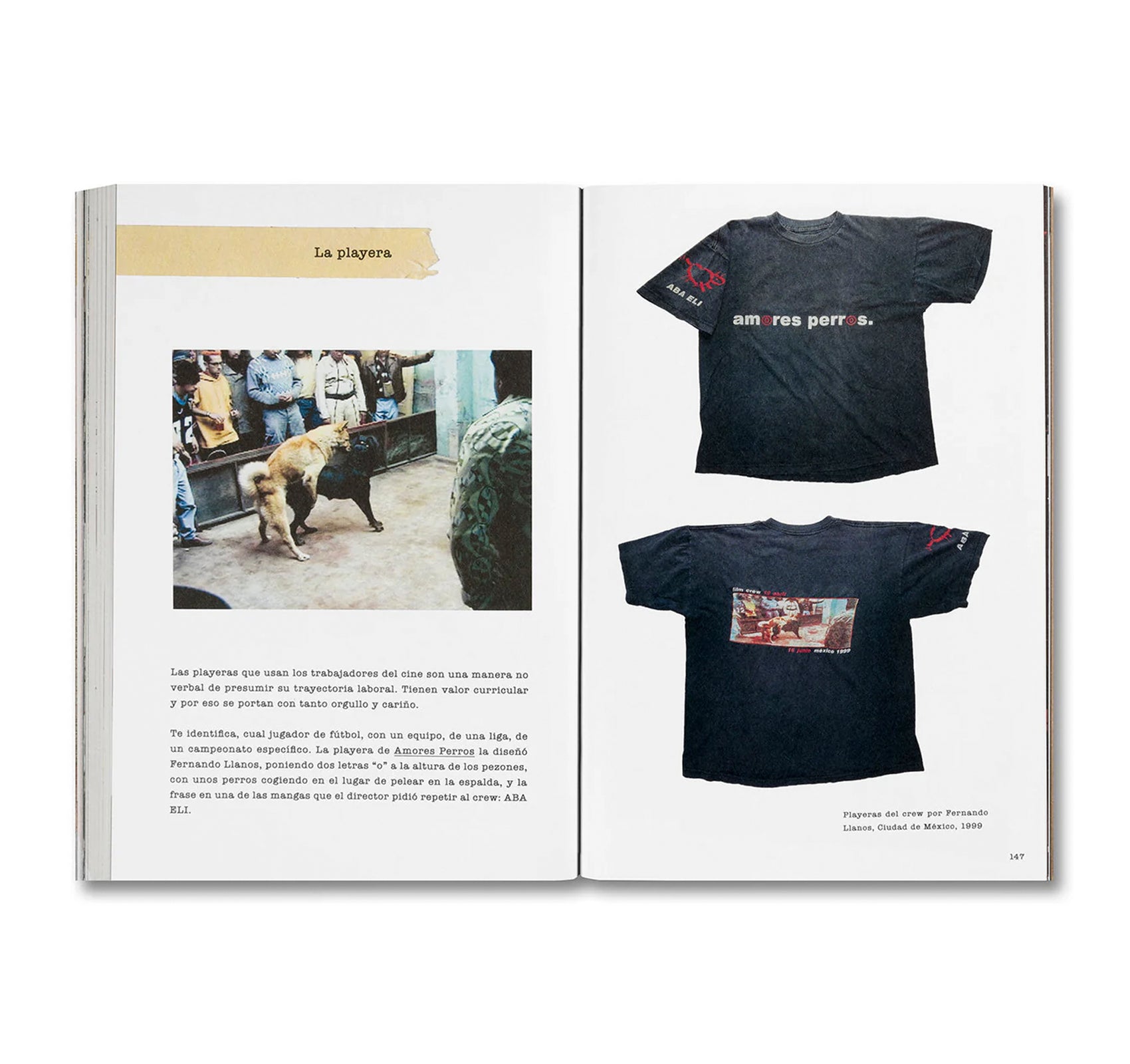 DESATAR AMORES PERROS by Fernando Llanos [SPANISH EDITION]