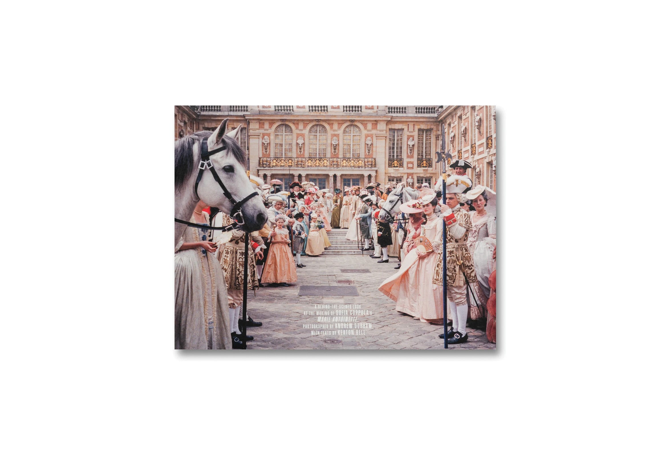 MAKING MARIE ANTOINETTE by Andrew Durham