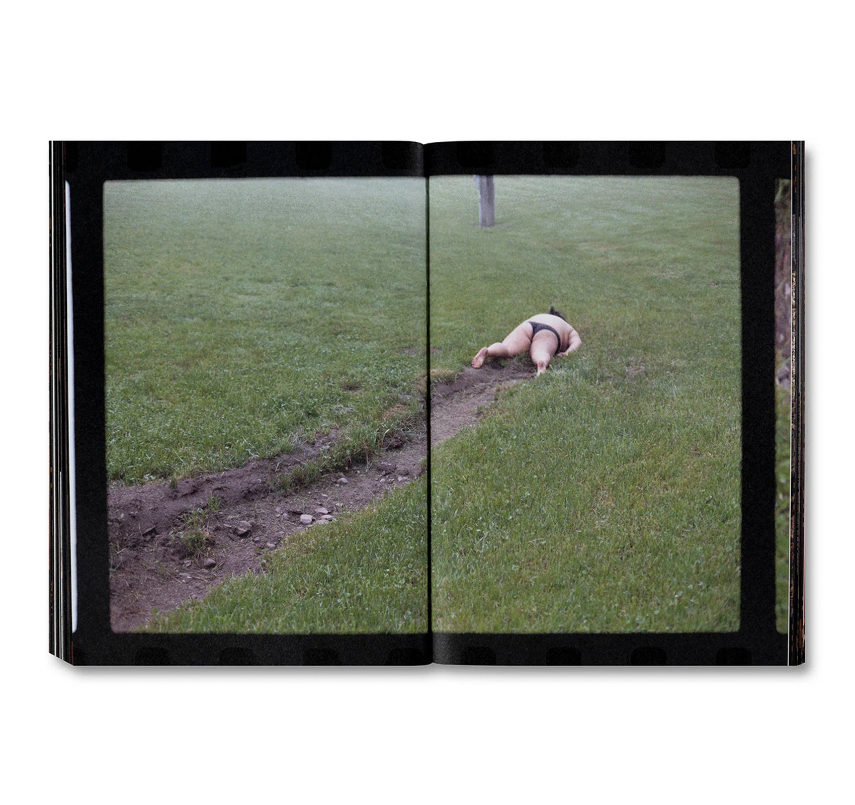 SMALL DEATH by Martha Naranjo Sandoval