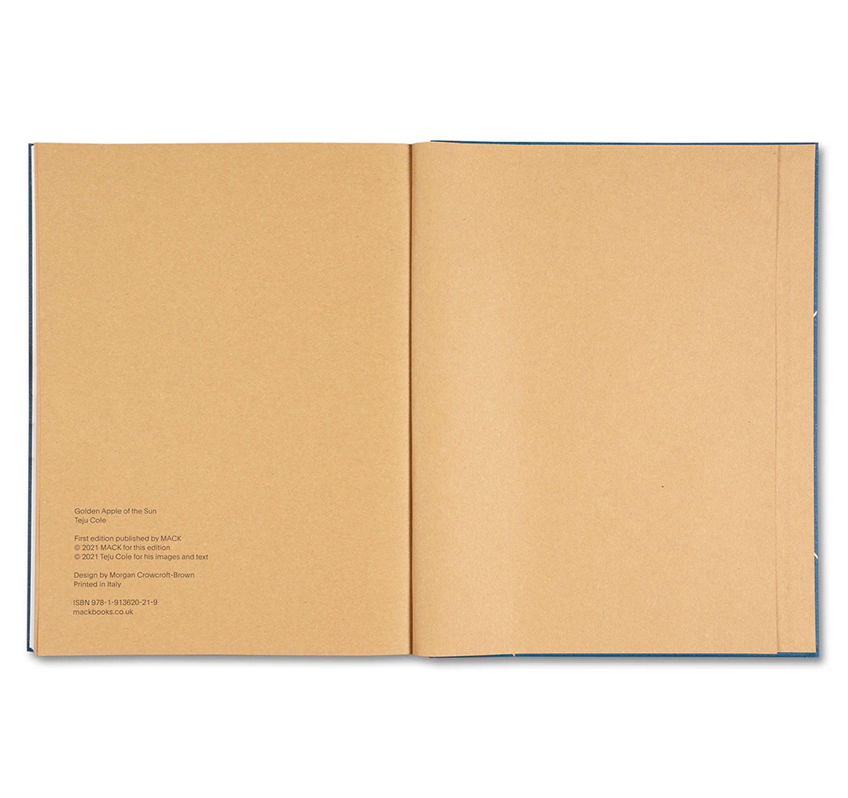 GOLDEN APPLE OF THE SUN by Teju Cole