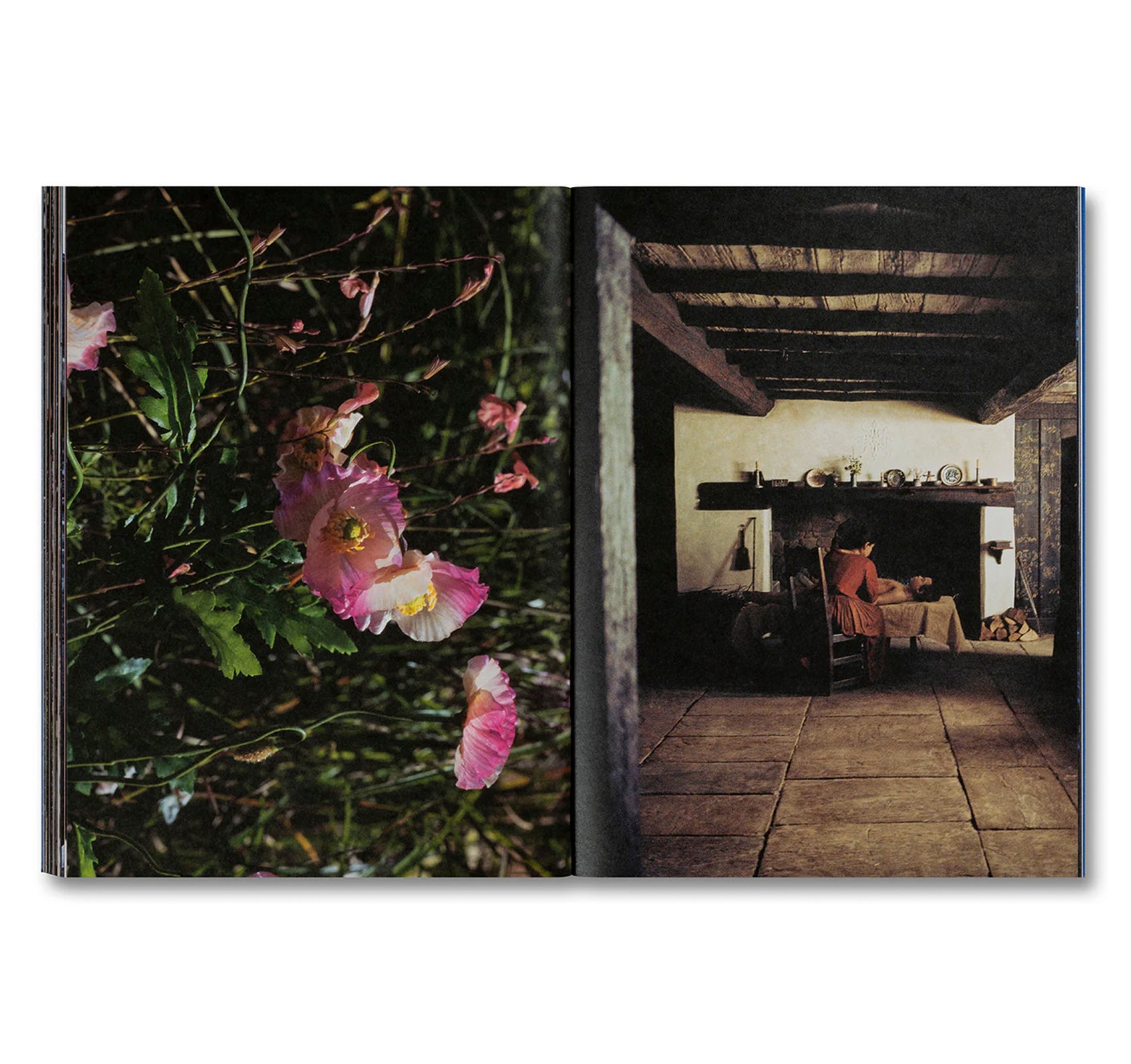 EVEN AS A SHADOW, EVEN AS A DREAM by Chloé Zhao, Jessie Buckley, Agata Grzybowska