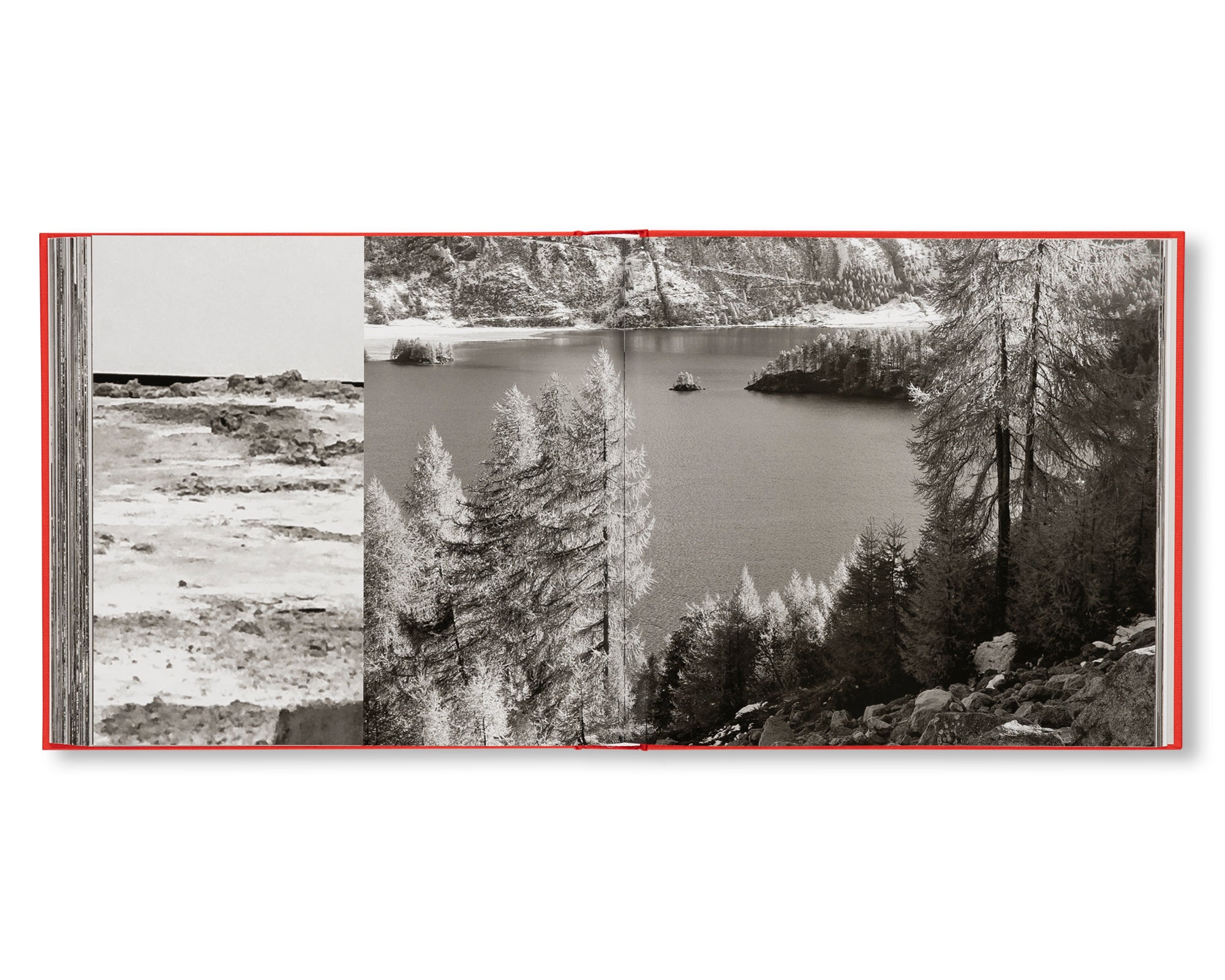 WADE GUYTON, PETER FISCHLI, DAVID WEISS by Wade Guyton, Peter Fischli, David Weiss