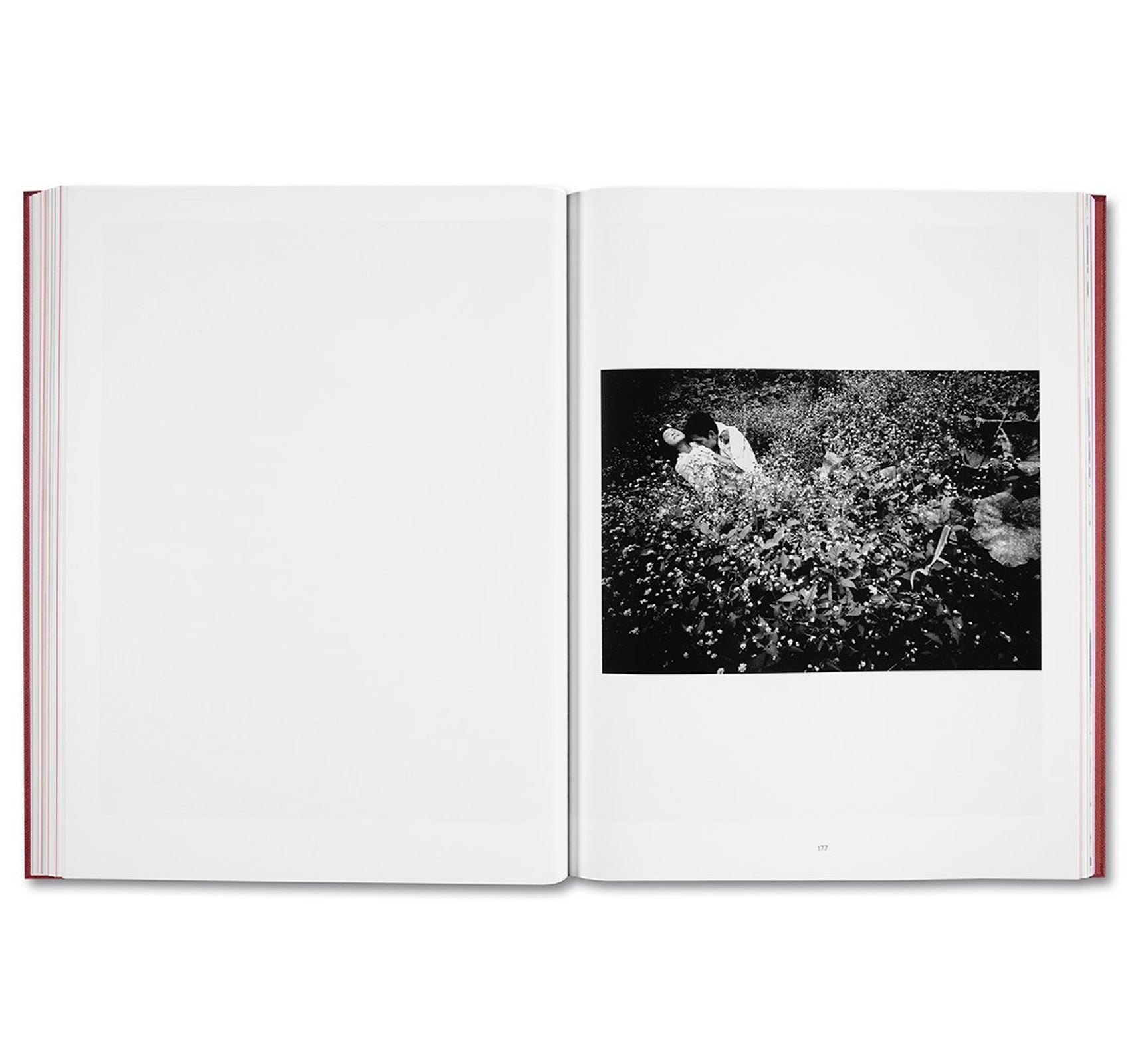 EIKOH HOSOE by Yasufumi Nakamori [ENGLISH EDITION]