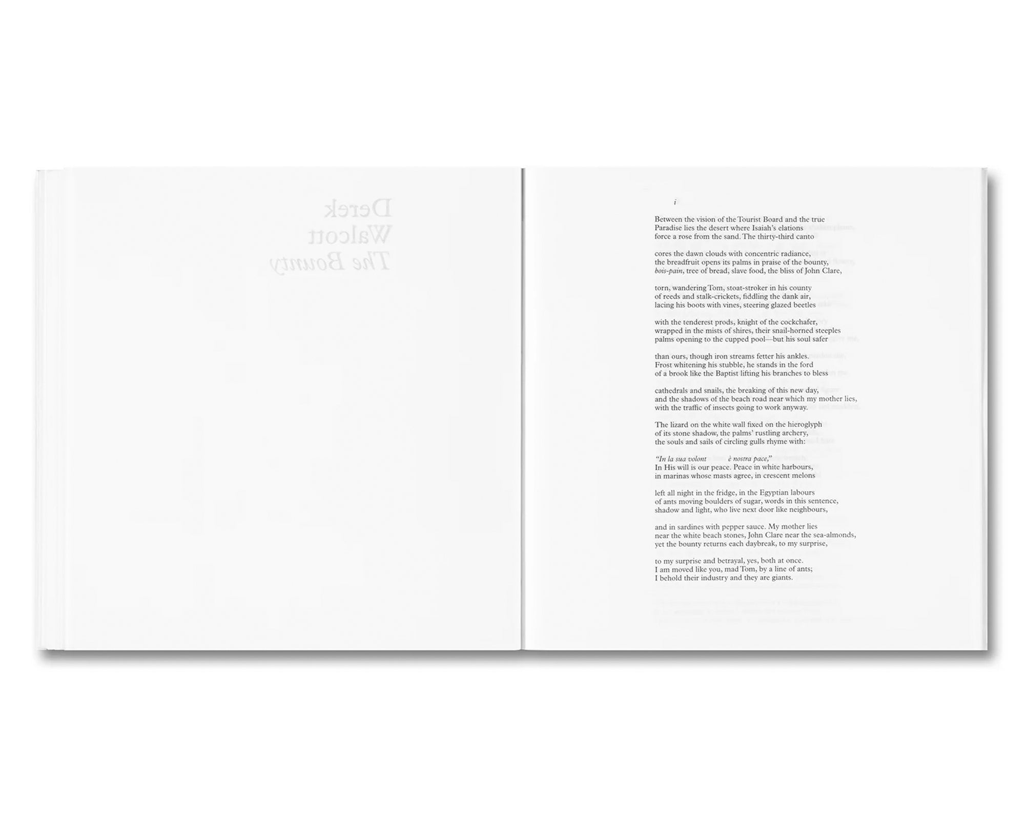 BOUNTY by Steve McQueen