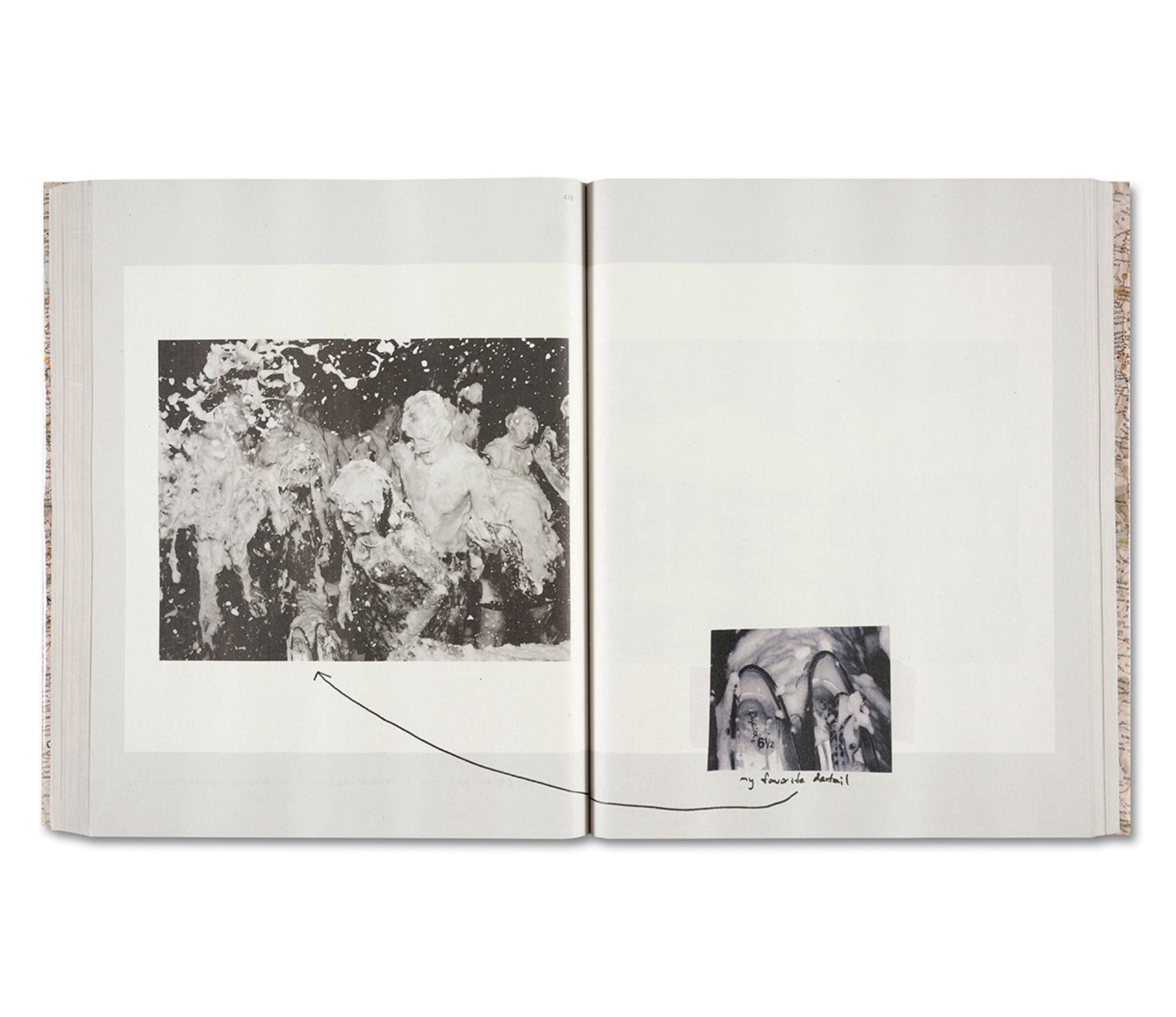 GATHERED LEAVES ANNOTATED by Alec Soth