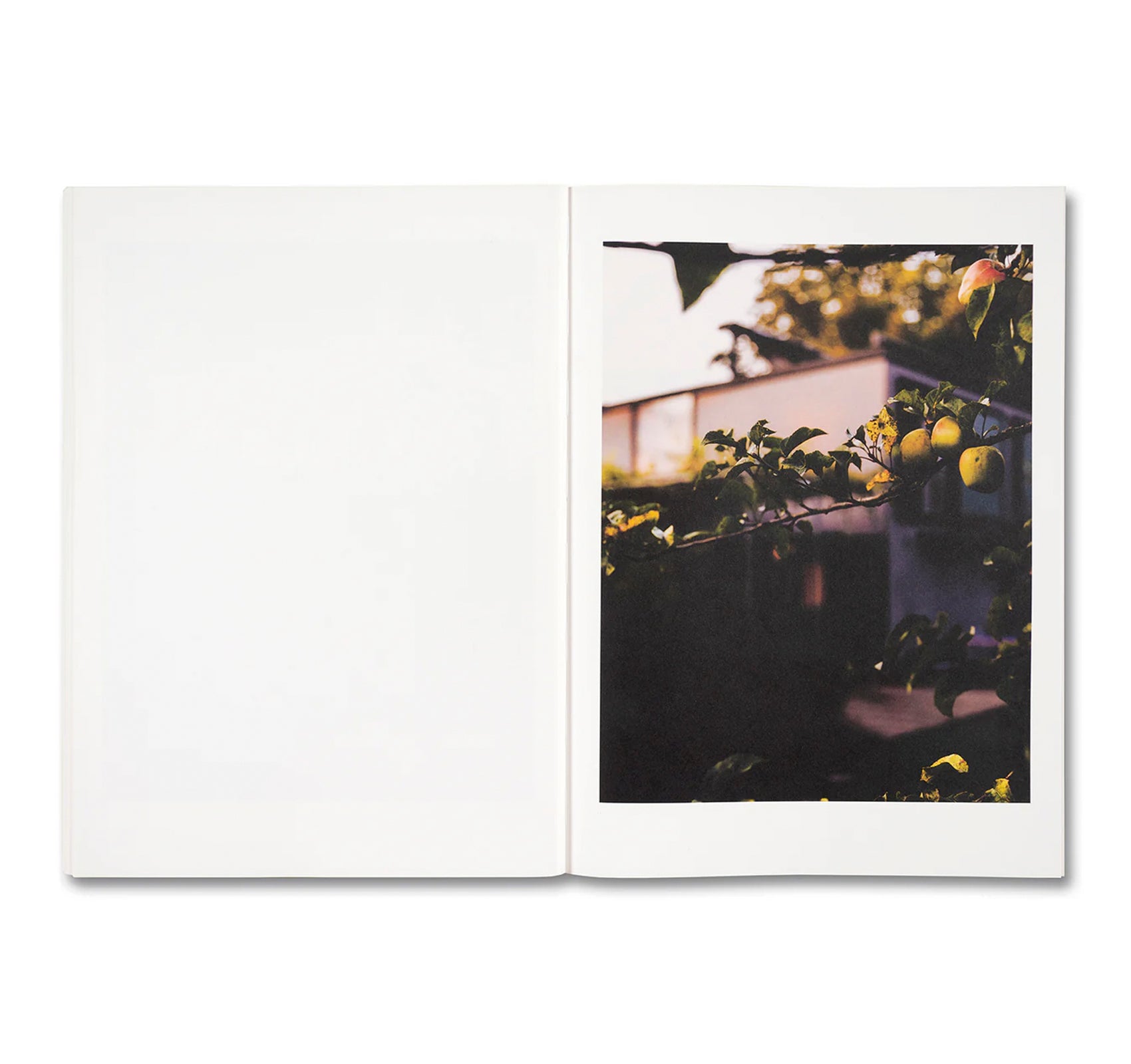 KOECHLIN HOUSE by Daisuke Hirabayashi