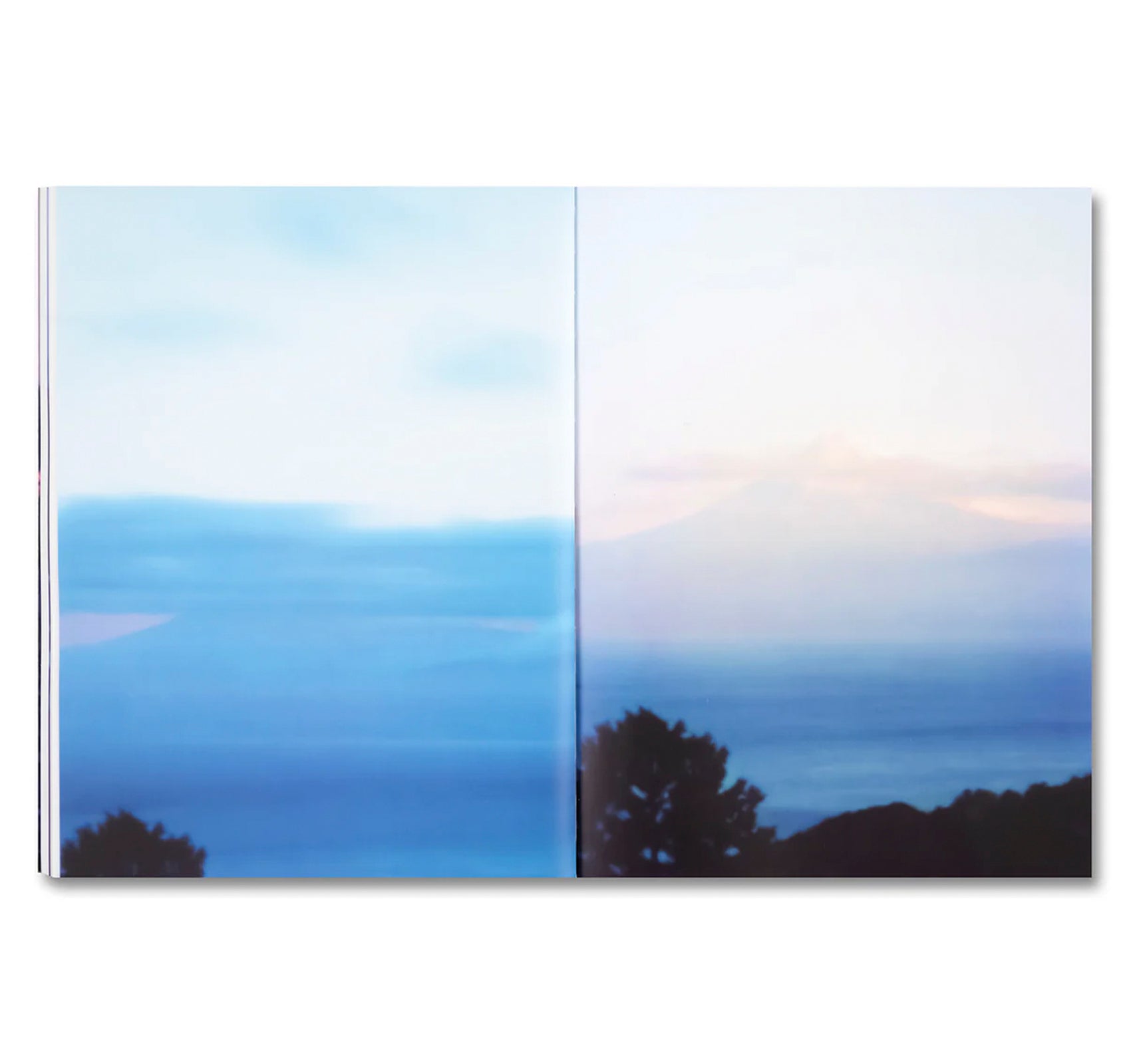 THIRTY-SIX VIEWS OF MOUNT FUJI by Takashi Homma