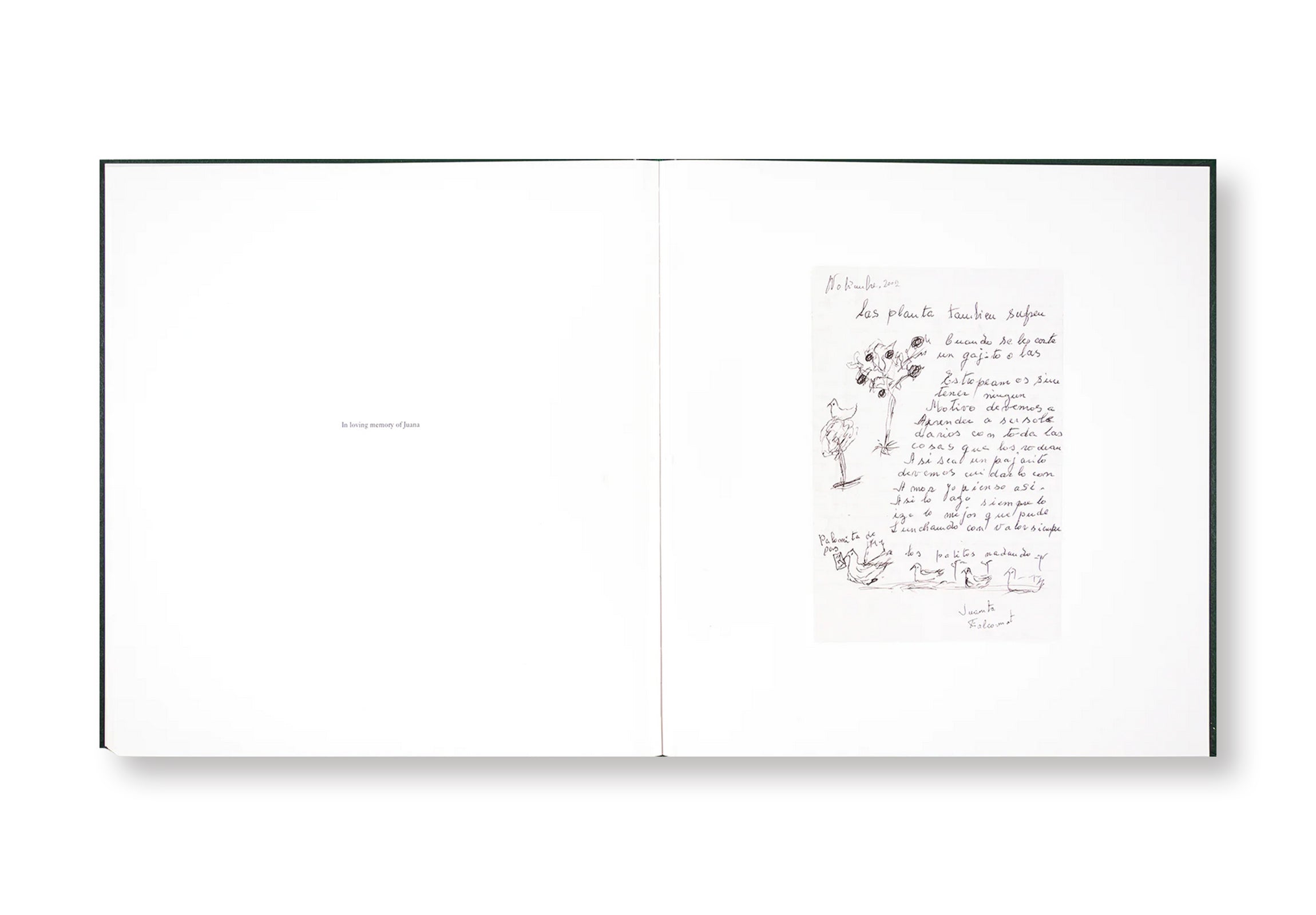 ON THE SIXTH DAY by Alessandra Sanguinetti  [SIGNED]