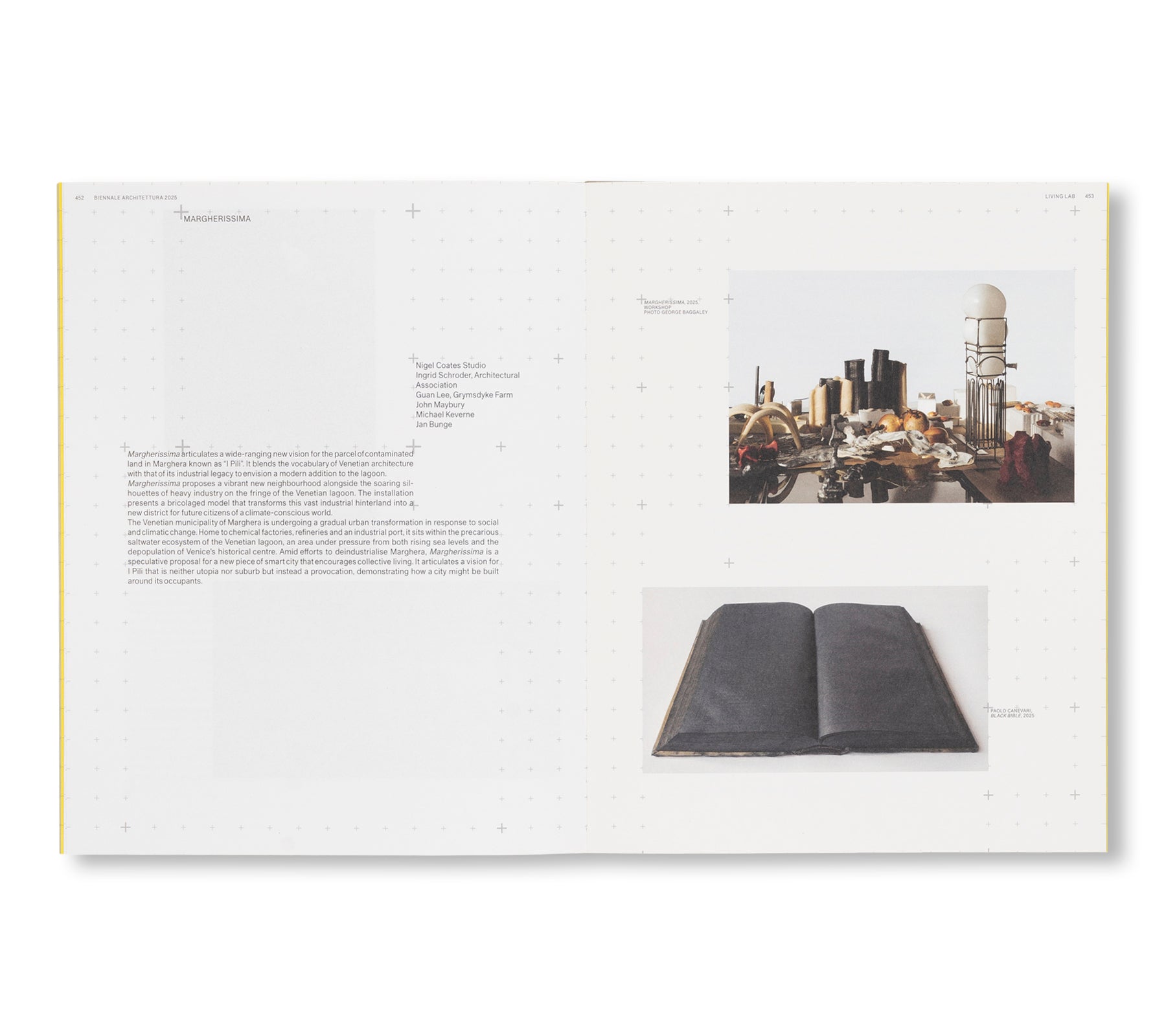 BIENNALE ARCHITETTURA 2025: INTELLIGENS. NATURAL. ARTIFICIAL. COLLECTIVE.