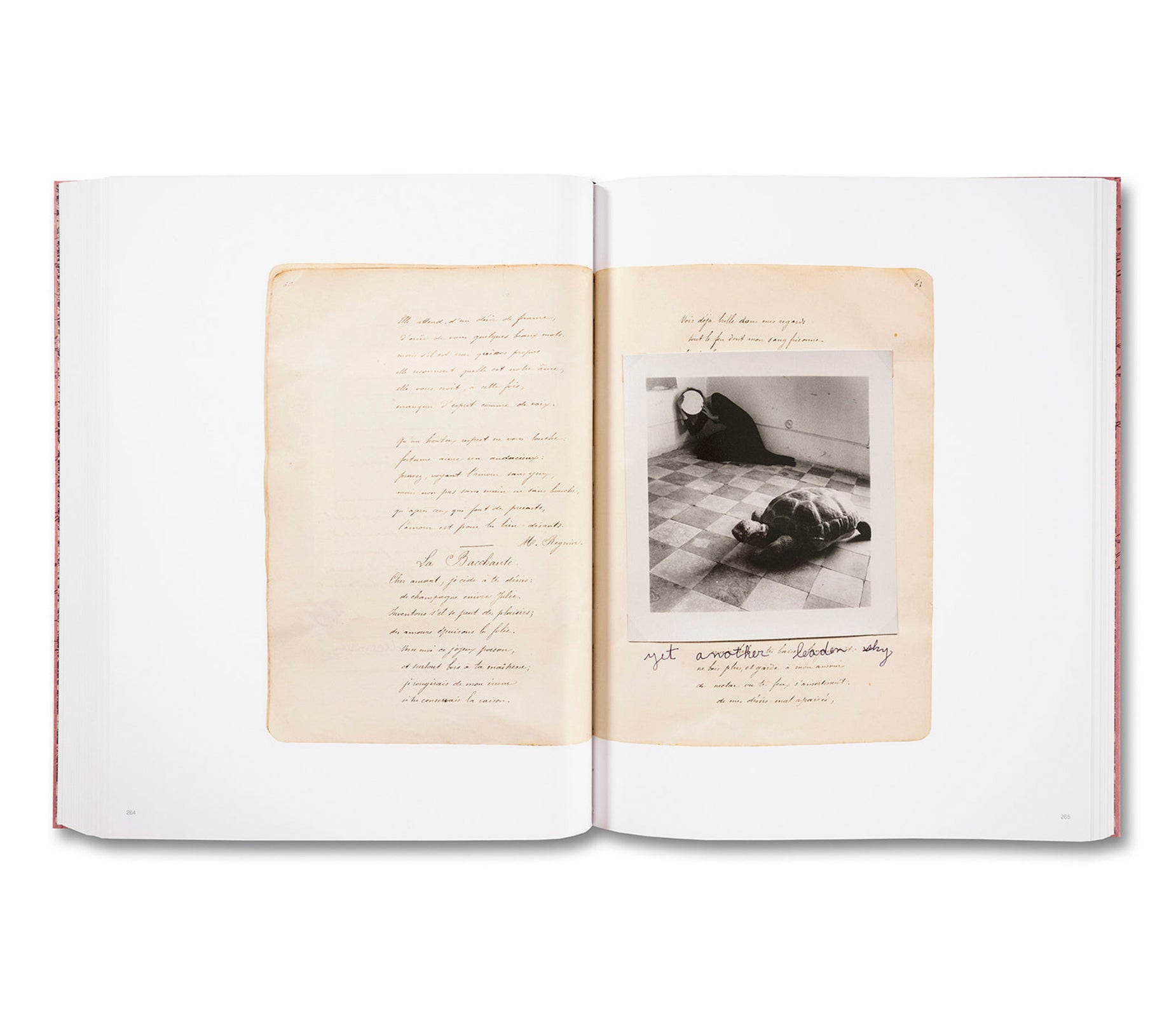 THE ARTIST’S BOOKS by Francesca Woodman