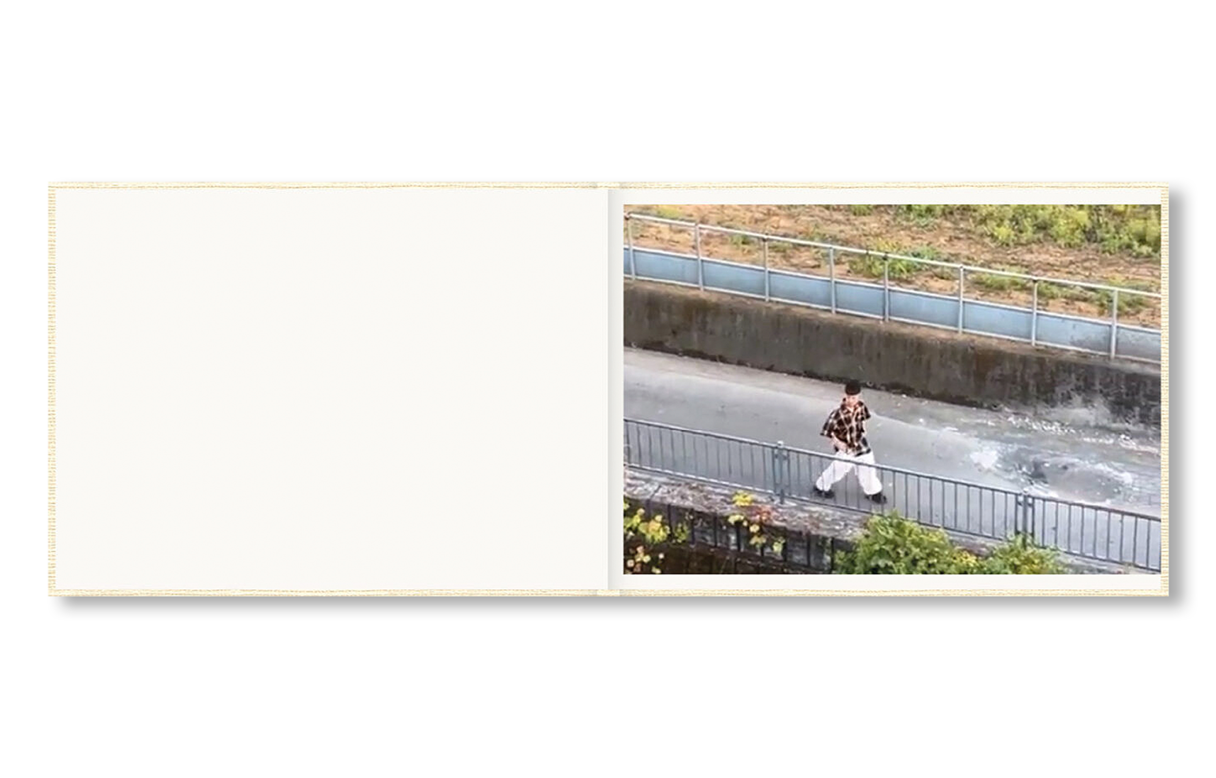 SCREENSHOTS FROM A SERIES OF VIDEOS ABOUT A RICE FIELD AND ITS SURROUNDINGS by Cintia Tortosa Santisteban