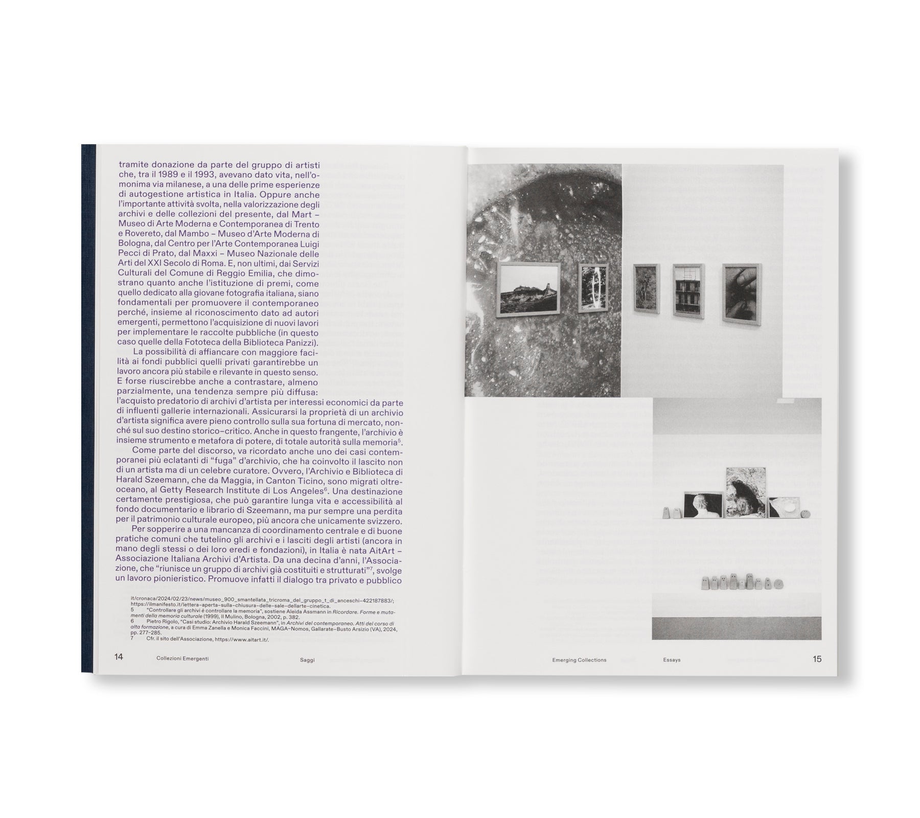 EMERGING COLLECTIONS - THE EXPERIENCE OF YOUNG ITALIAN PHOTOGRAPHY - LUIGI GHIRRI AWARD