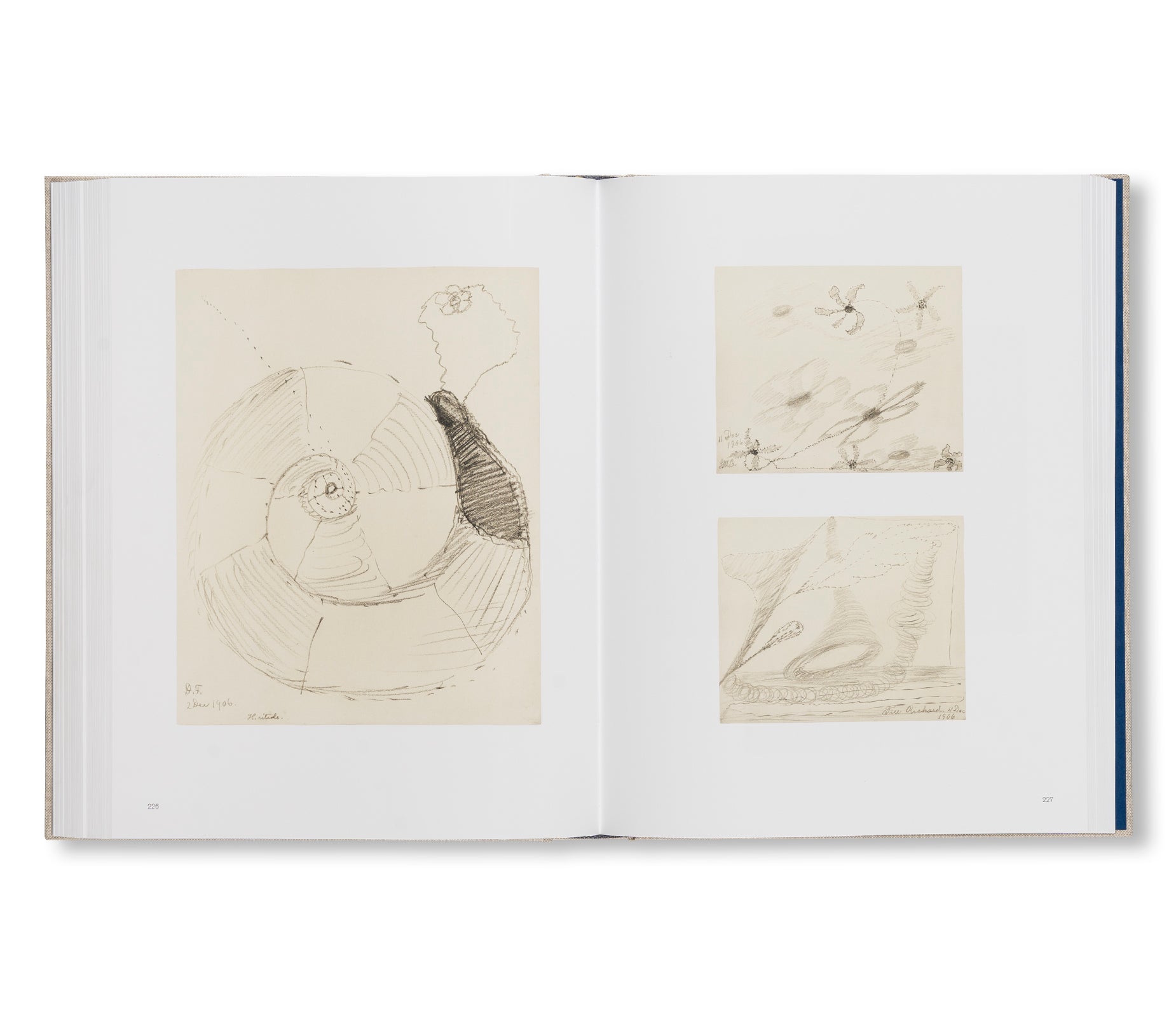 HILMA AF KLINT: SPIRITUALISTIC DRAWINGS 1895–1910: CATALOGUE RAISONNÉ VOLUME I by Hilma af Klint