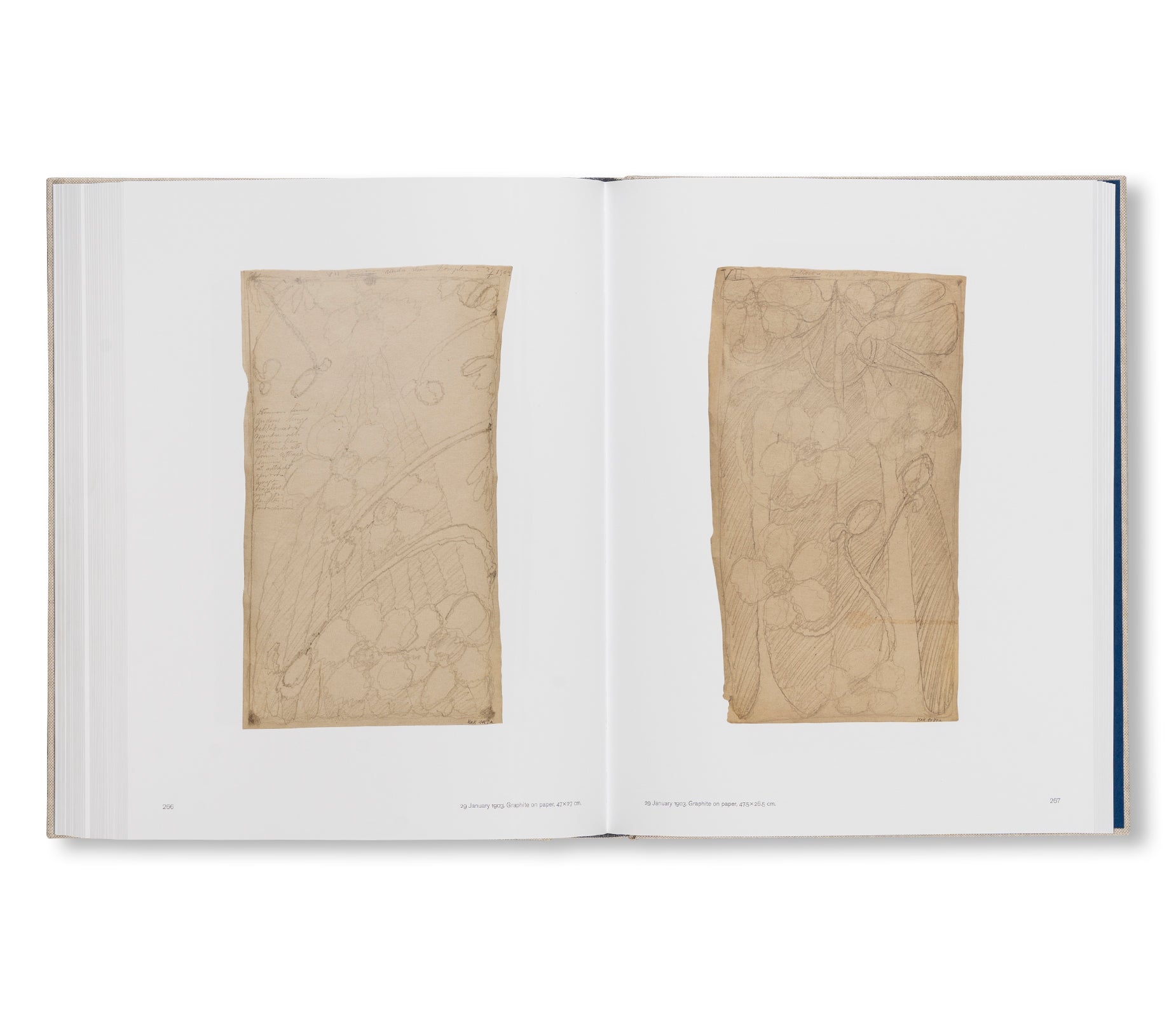 HILMA AF KLINT: SPIRITUALISTIC DRAWINGS 1895–1910: CATALOGUE RAISONNÉ VOLUME I by Hilma af Klint