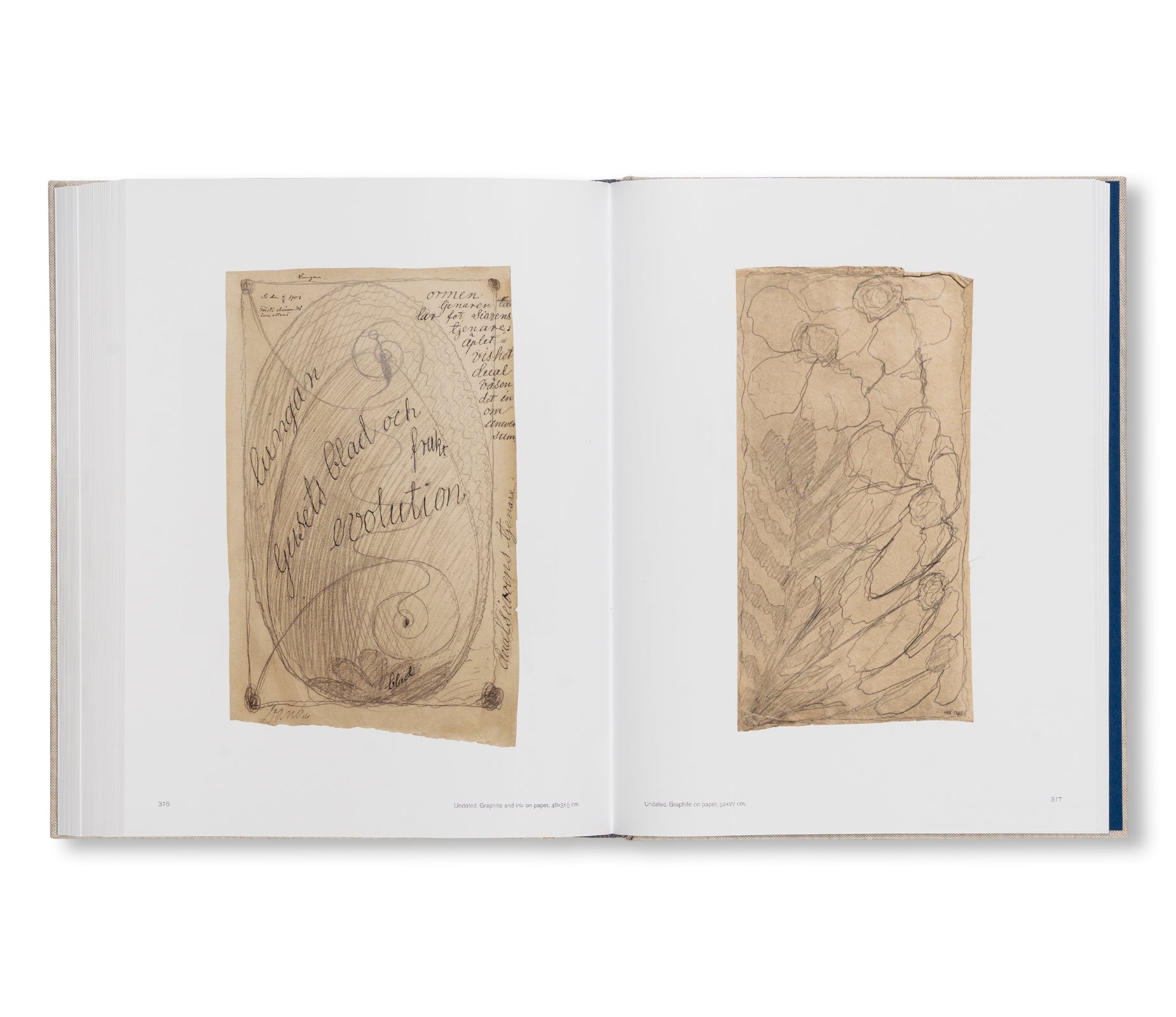 HILMA AF KLINT: SPIRITUALISTIC DRAWINGS 1895–1910: CATALOGUE RAISONNÉ VOLUME I by Hilma af Klint