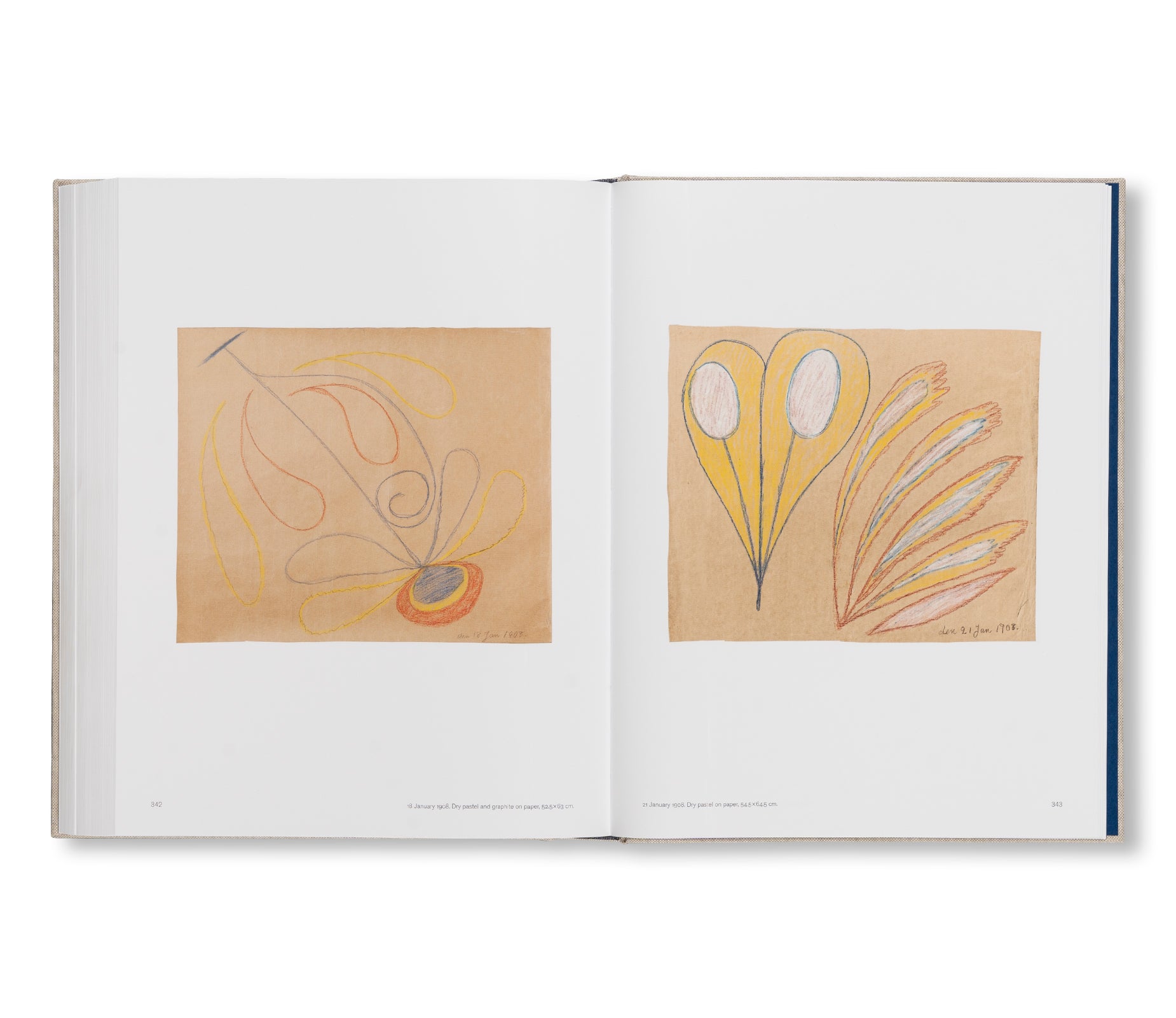 HILMA AF KLINT: SPIRITUALISTIC DRAWINGS 1895–1910: CATALOGUE RAISONNÉ VOLUME I by Hilma af Klint