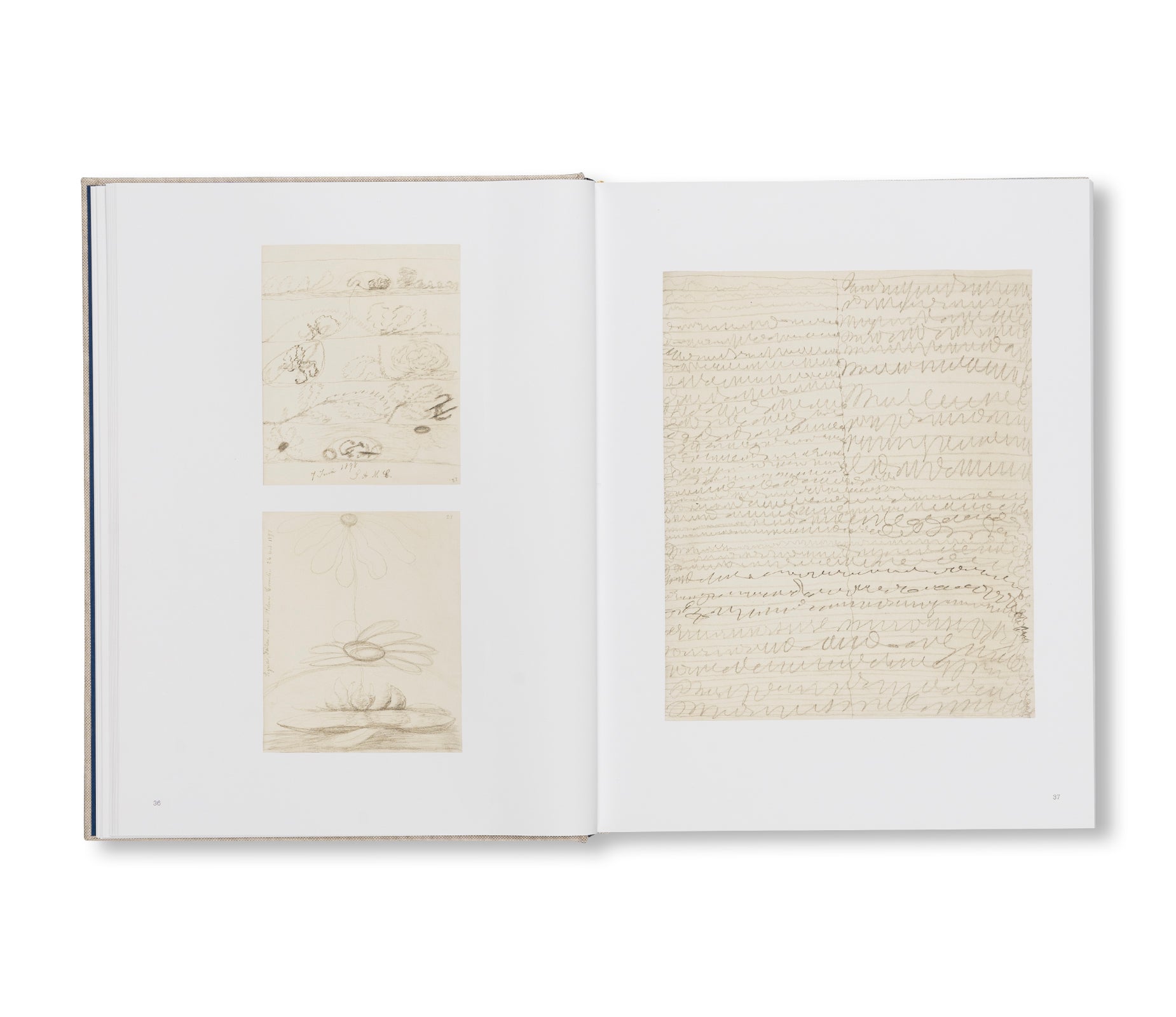 HILMA AF KLINT: SPIRITUALISTIC DRAWINGS 1895–1910: CATALOGUE RAISONNÉ VOLUME I by Hilma af Klint