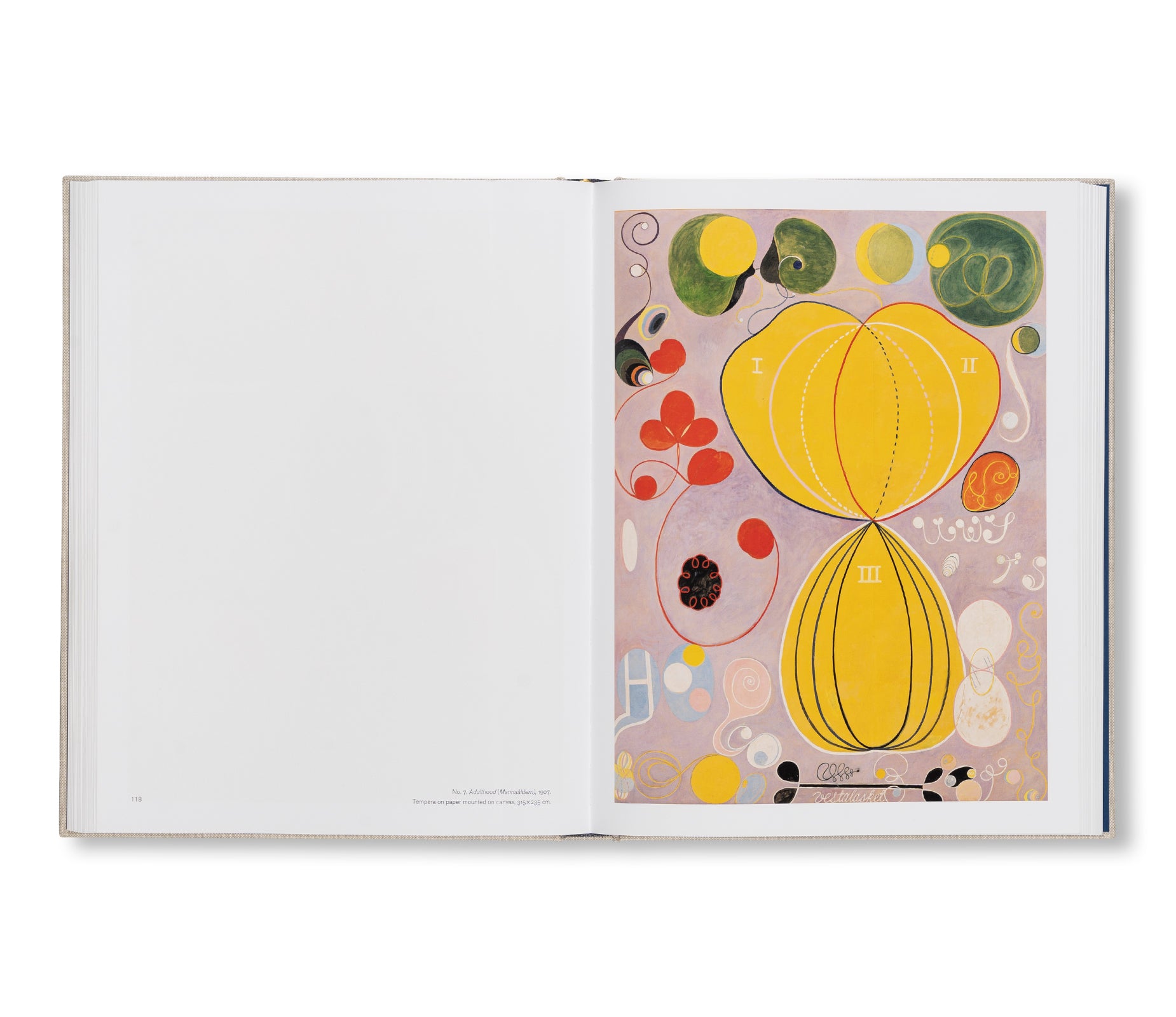 HILMA AF KLINT: THE PAINTINGS FOR THE TEMPLE 1906–1915: CATALOGUE RAISONNÉ VOLUME II by Hilma af Klint