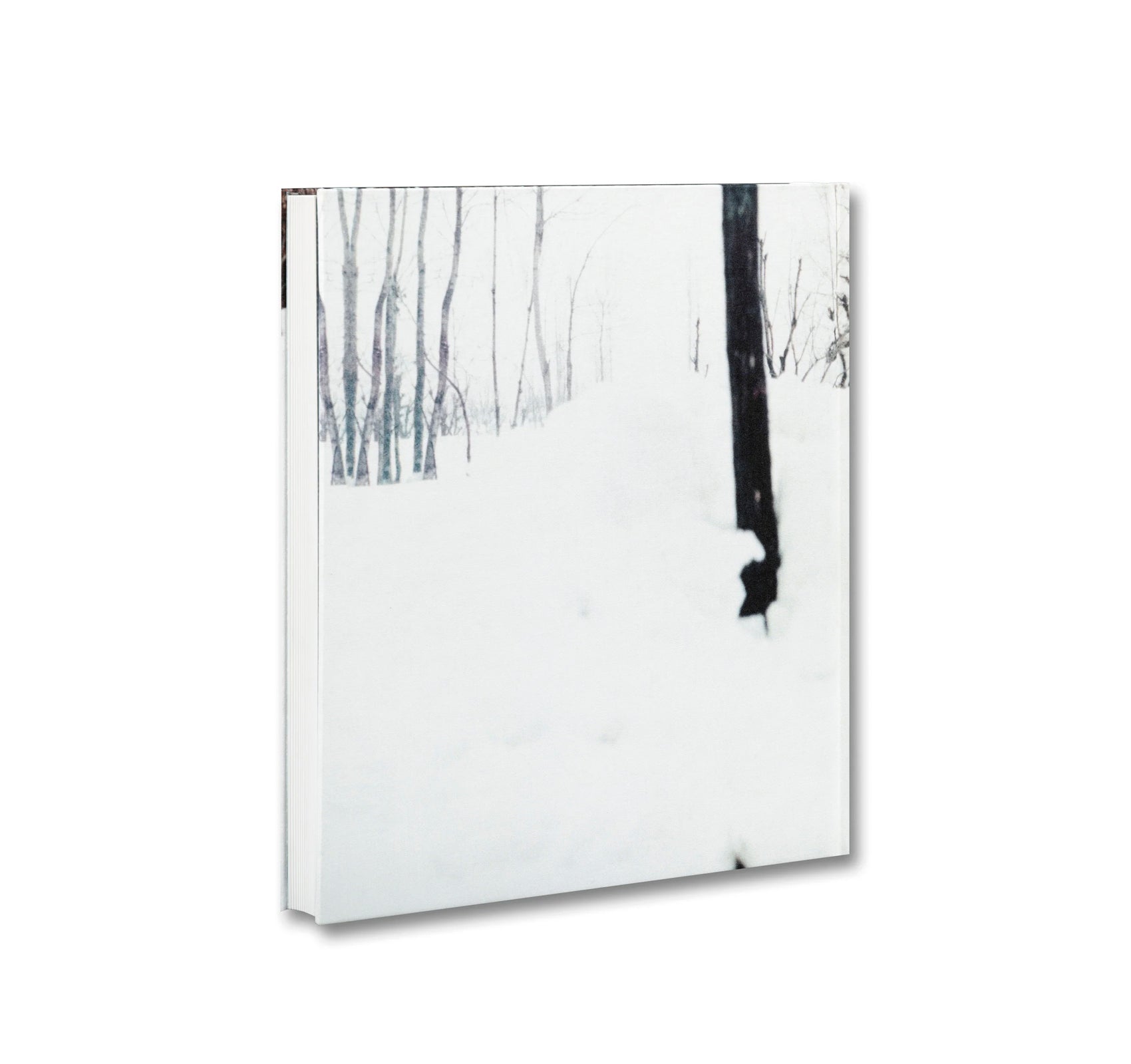 SNOW by Sohrab Hura