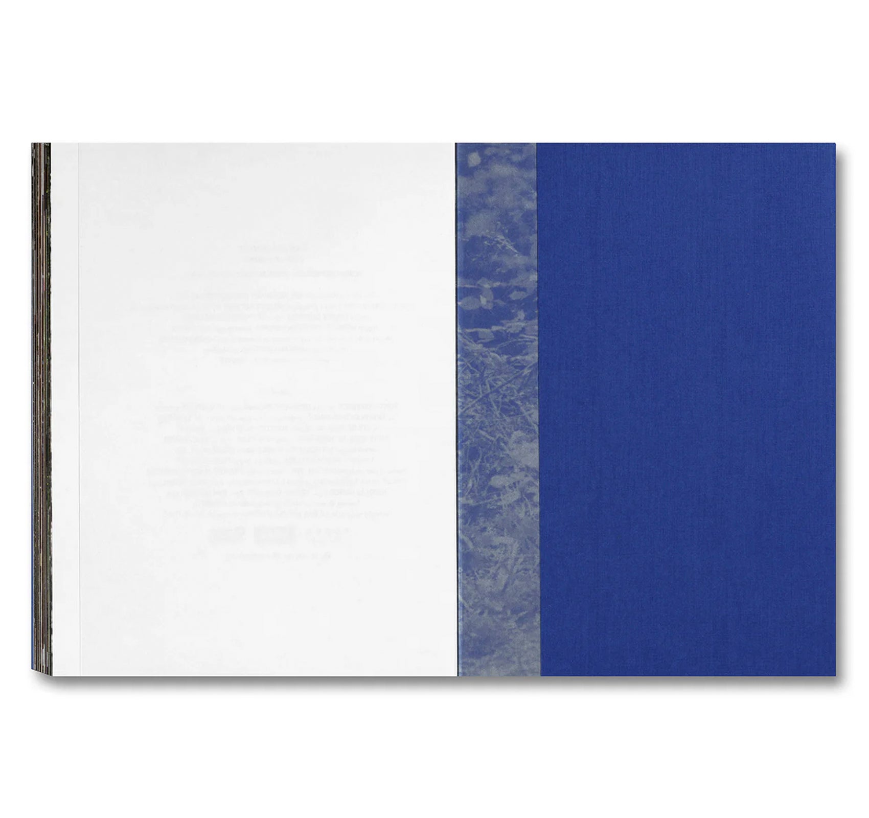 EVEN AS A SHADOW, EVEN AS A DREAM by Chloé Zhao, Jessie Buckley, Agata Grzybowska