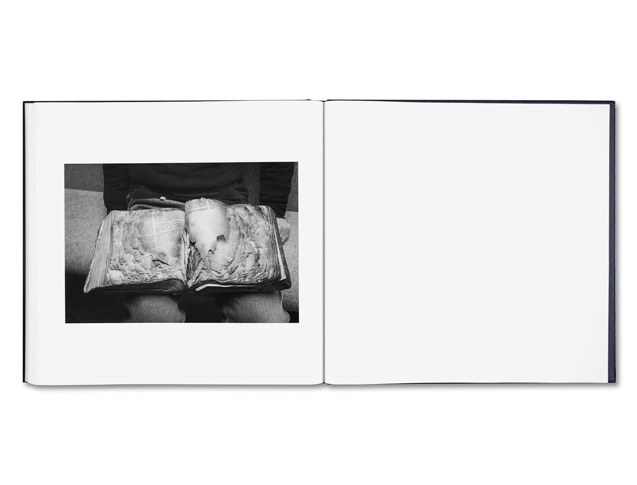 SOME SAY ICE by Alessandra Sanguinetti [DIRECT SIGNED]