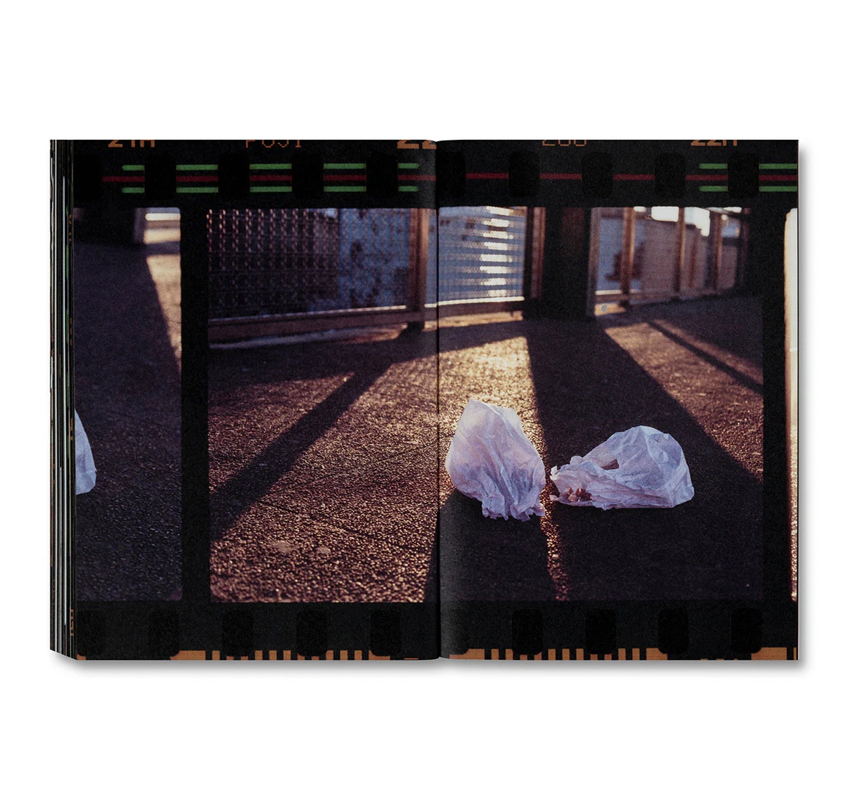 SMALL DEATH by Martha Naranjo Sandoval