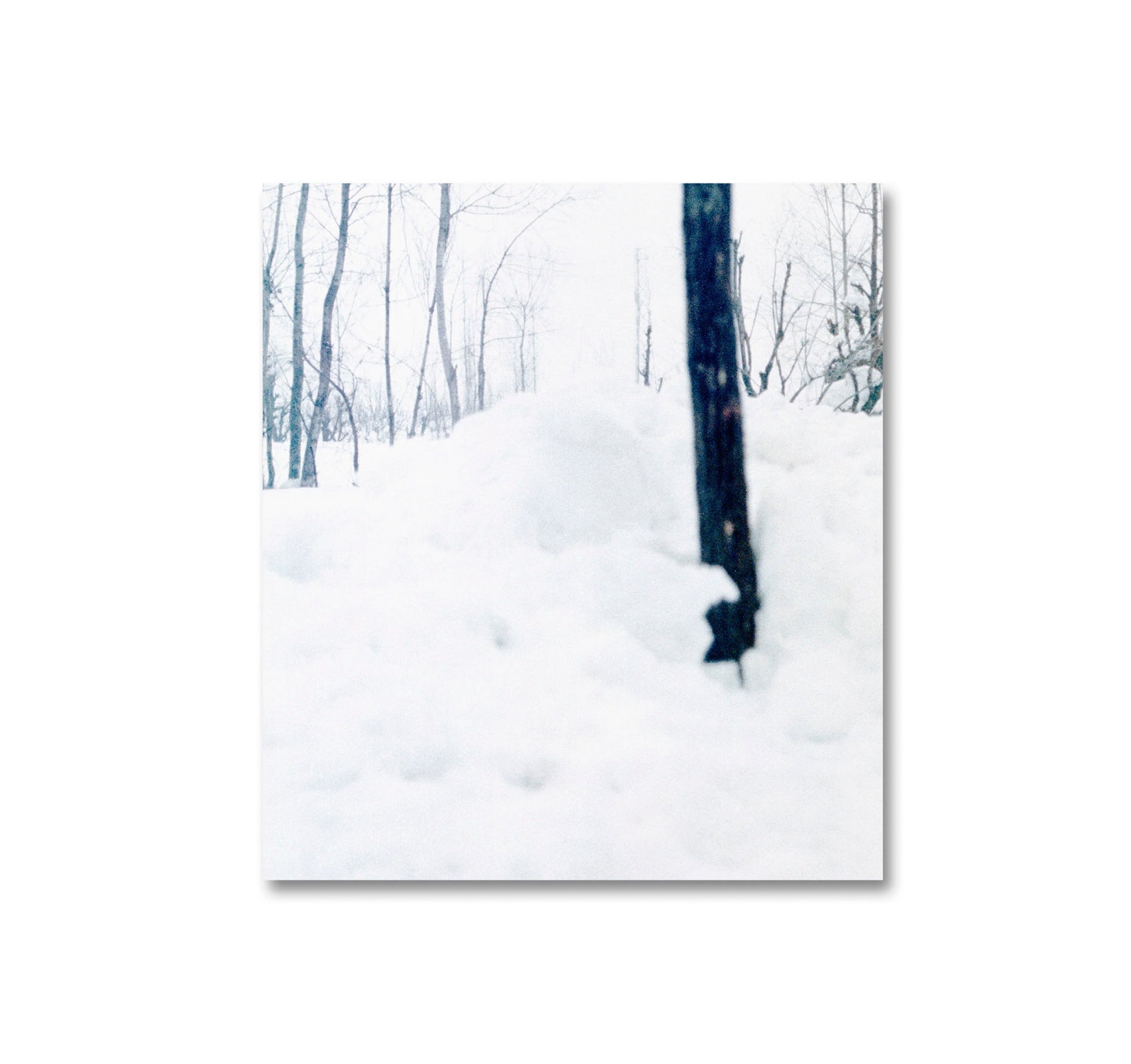 SNOW by Sohrab Hura
