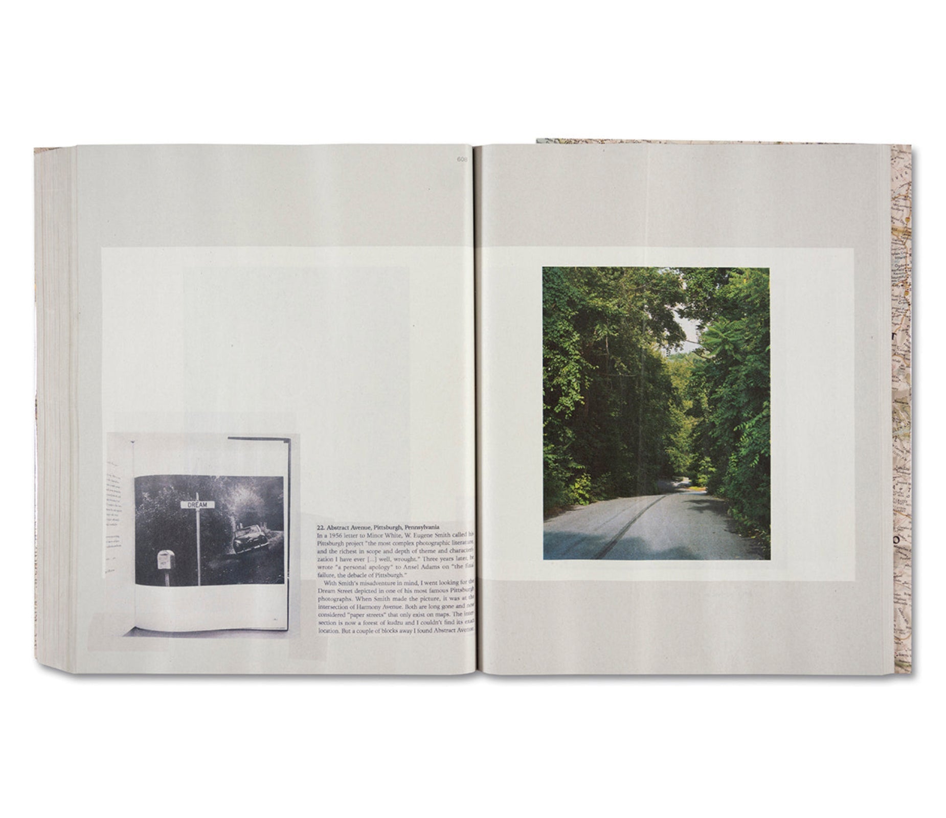 GATHERED LEAVES ANNOTATED by Alec Soth