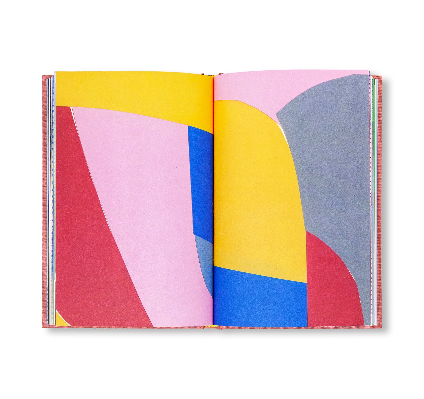 APPUNTI SU ALCUNI DIPINTI by Nigel Peake