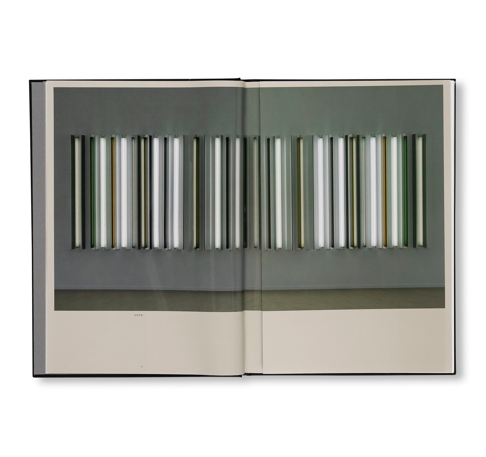 PROJECTS & EXHIBITIONS 2015–2016 by Robert Irwin