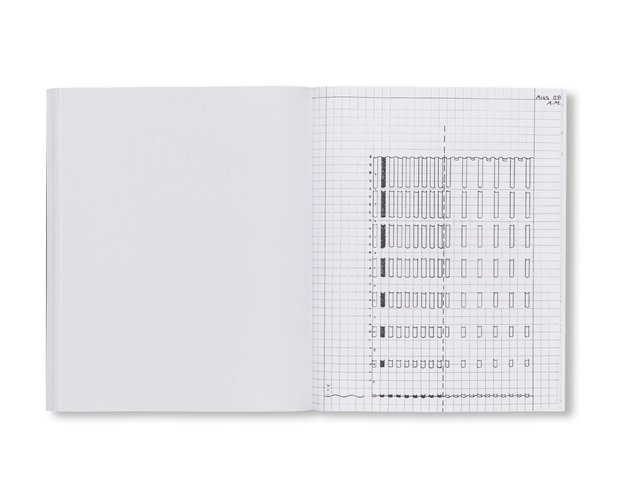 NOTEBOOKS 1967-70 by Lee Lozano