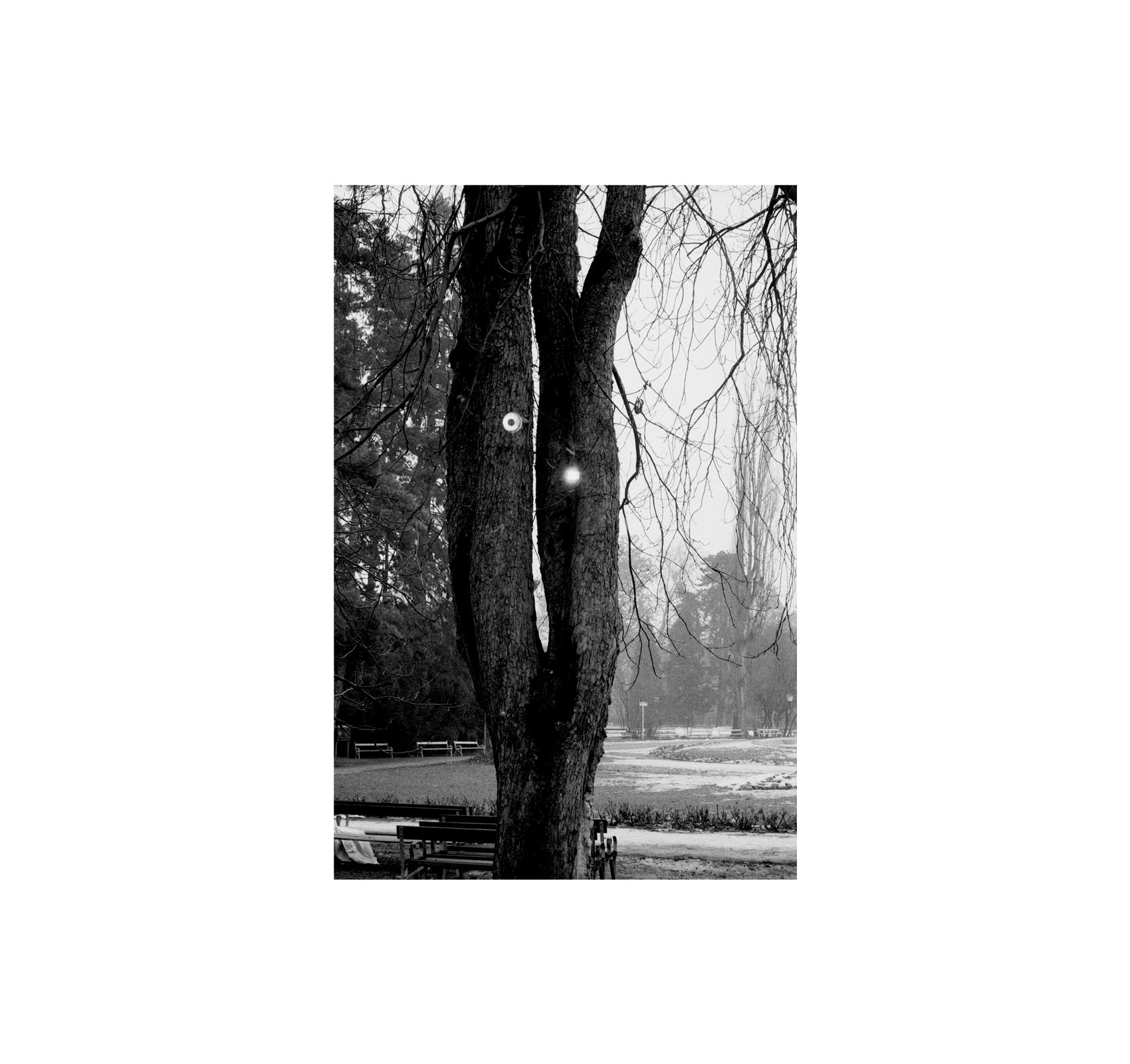 PHOTOGRAPHS (1978-1985) by Christine Furuya-Gössler