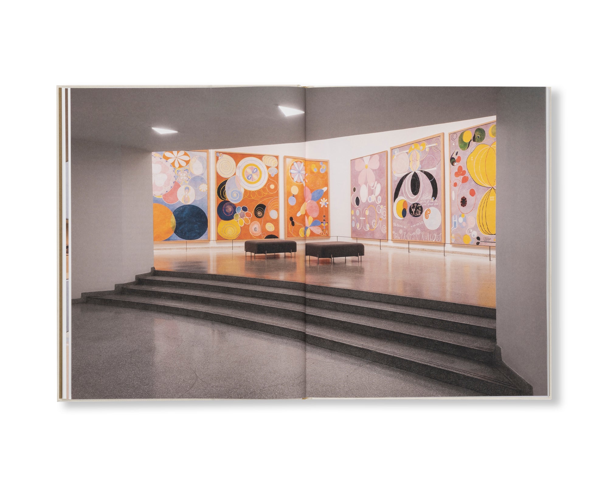 HILMA AF KLINT: VISIONARY by Hilma af Klint