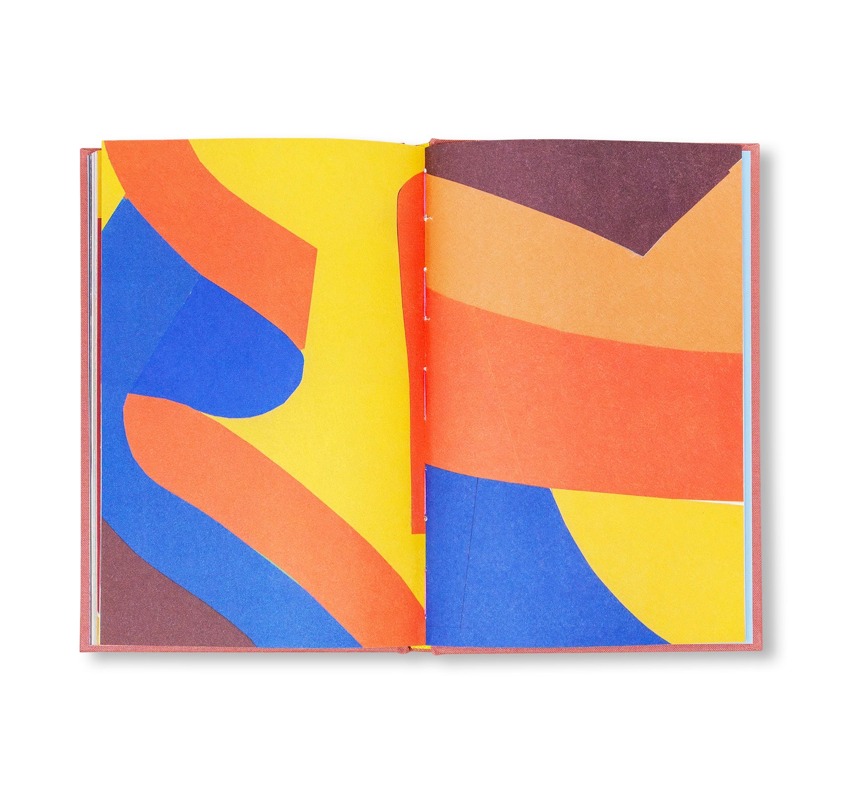 APPUNTI SU ALCUNI DIPINTI by Nigel Peake