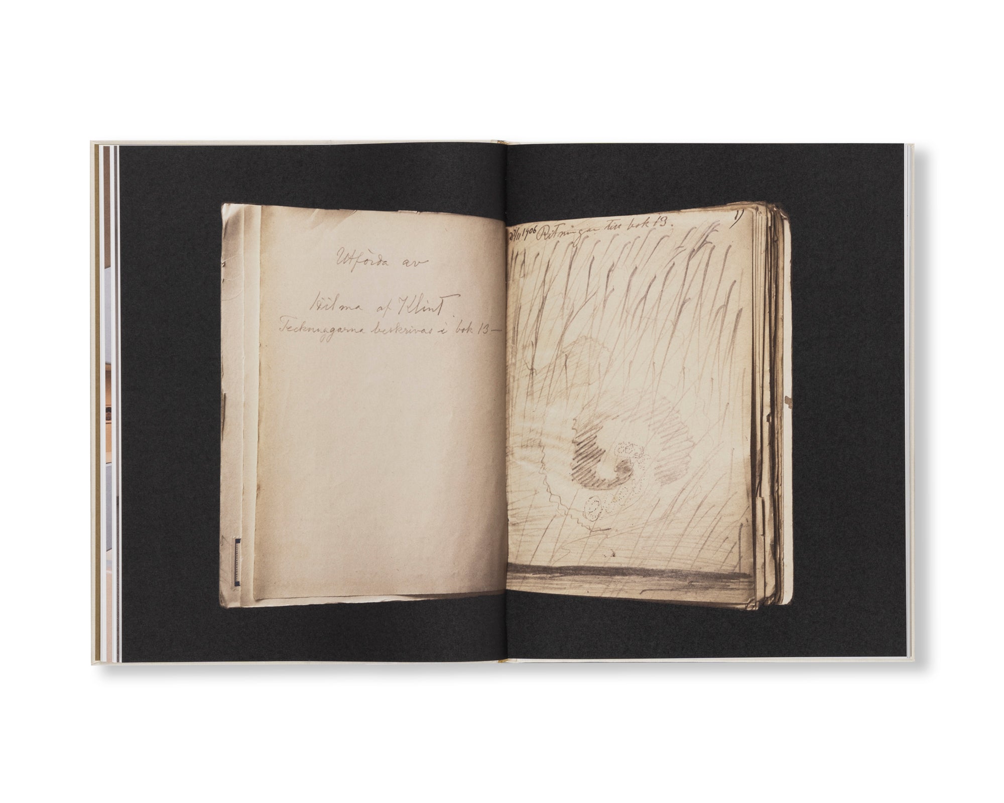 HILMA AF KLINT: VISIONARY by Hilma af Klint