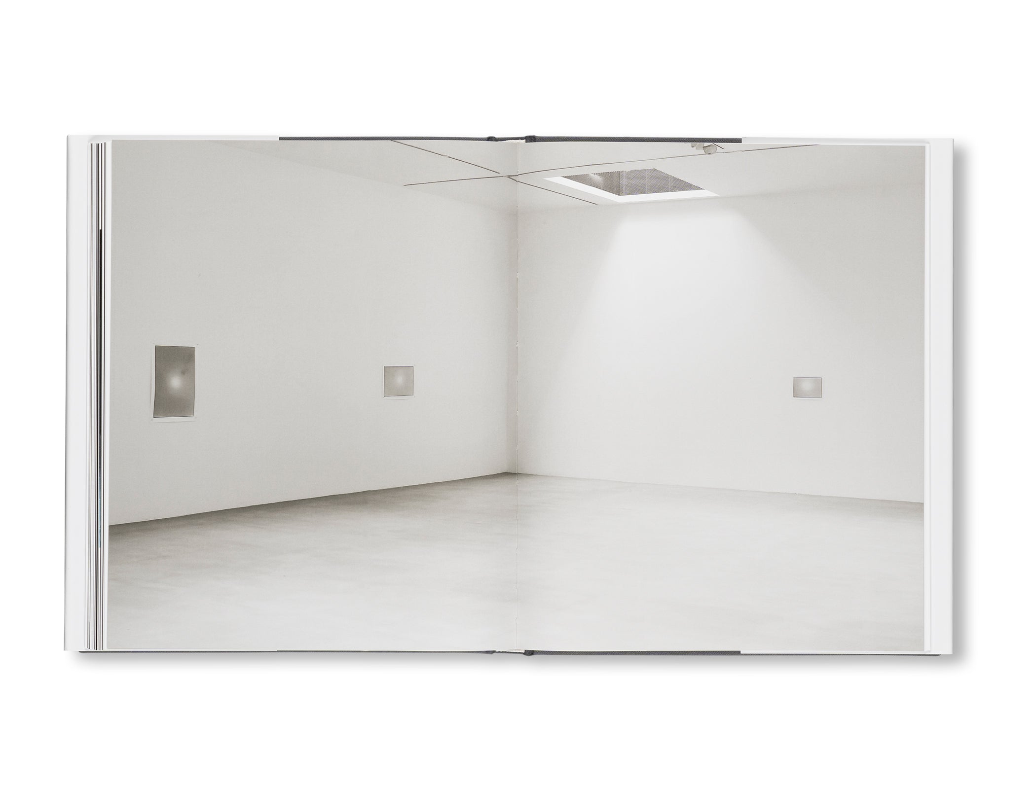 AVAILABLE LIGHT by Zoe Leonard