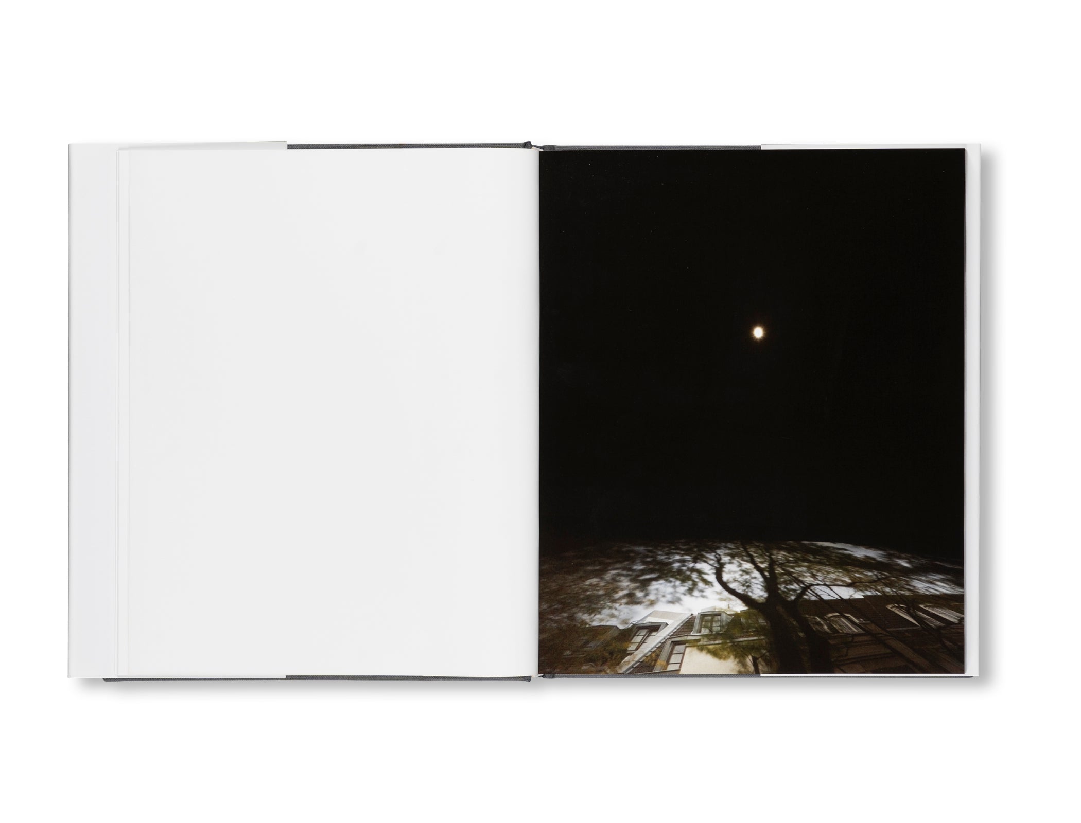 AVAILABLE LIGHT by Zoe Leonard