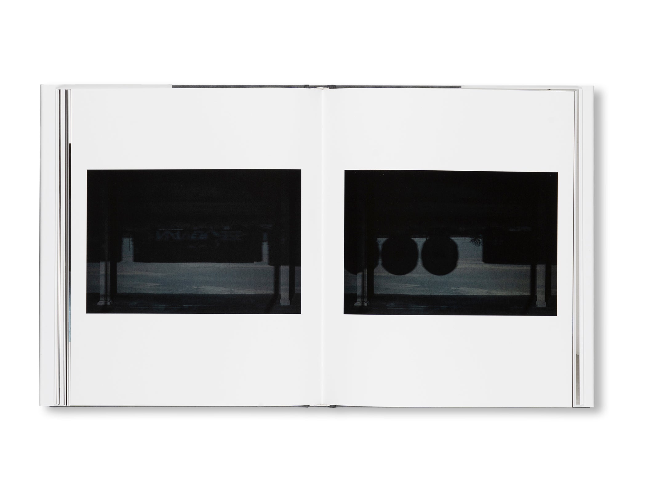 AVAILABLE LIGHT by Zoe Leonard