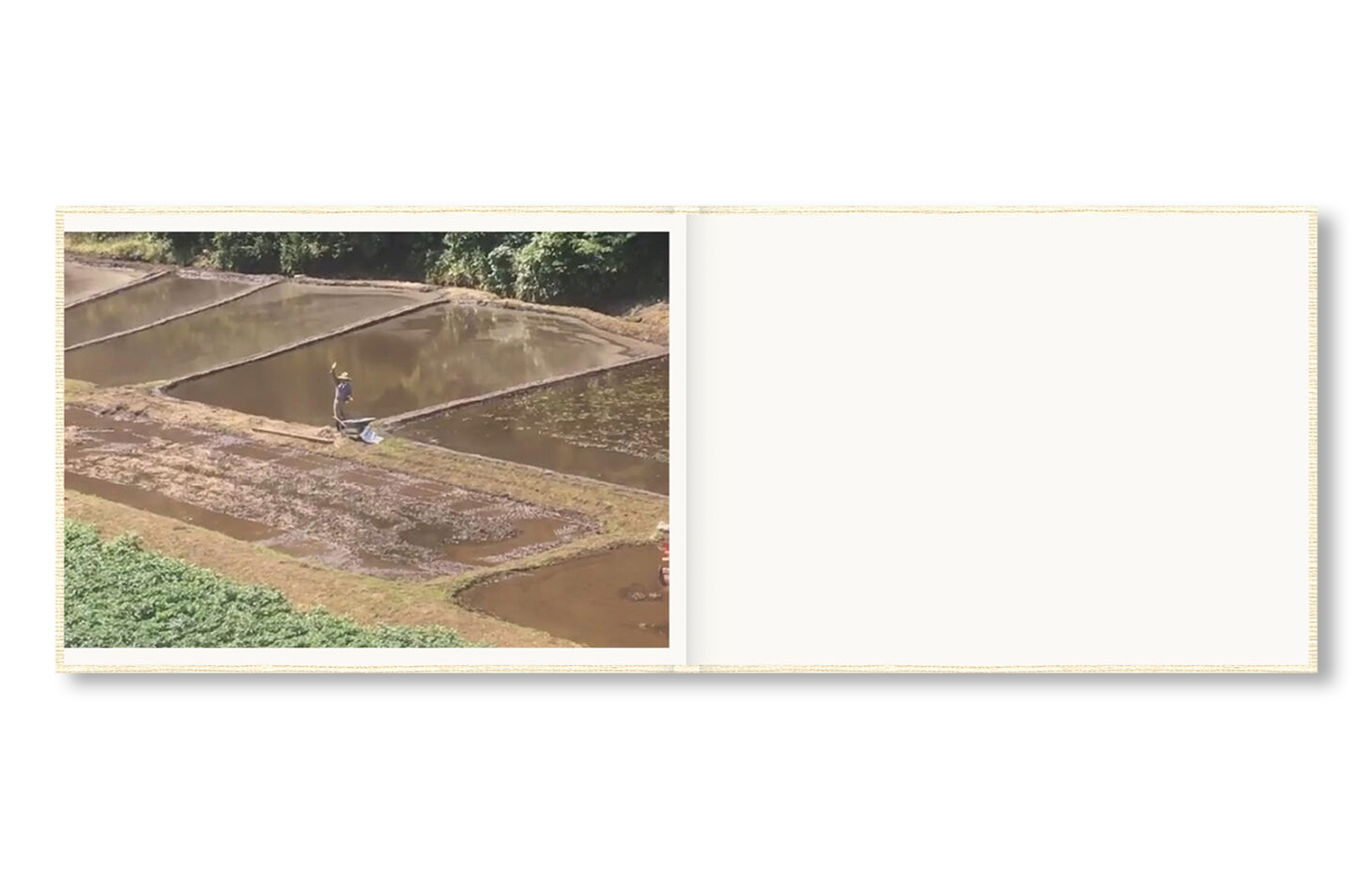 SCREENSHOTS FROM A SERIES OF VIDEOS ABOUT A RICE FIELD AND ITS SURROUNDINGS by Cintia Tortosa Santisteban