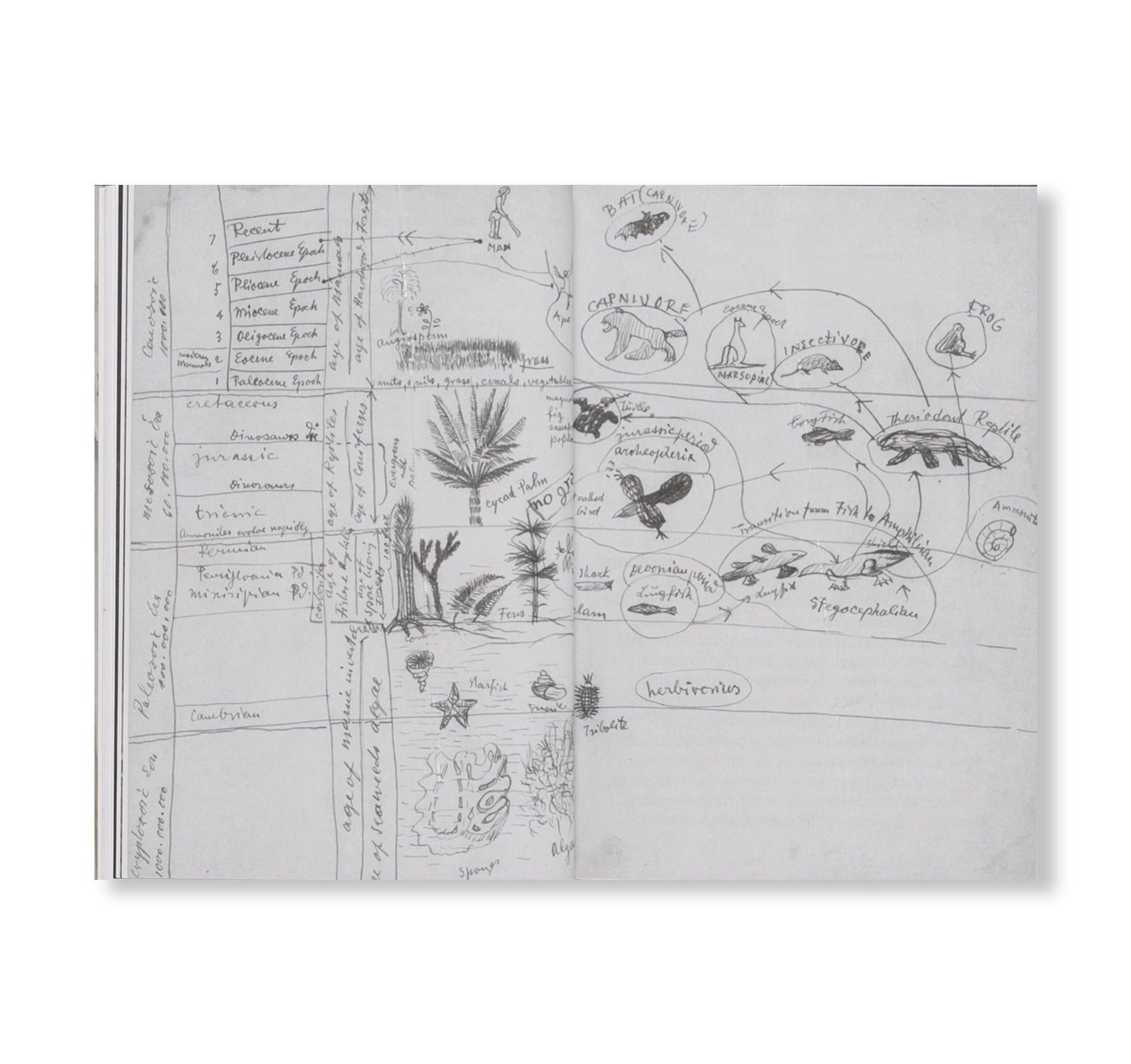 PRE-ARCHITECTURES [ENGLISH EDITION]
