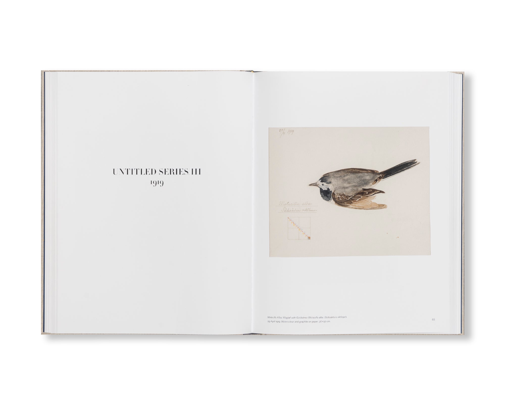 HILMA AF KLINT: GEOMETRIC SERIES AND OTHER WORKS 1917–1920: CATALOGUE RAISONNÉ VOLUME V by Hilma af Klint