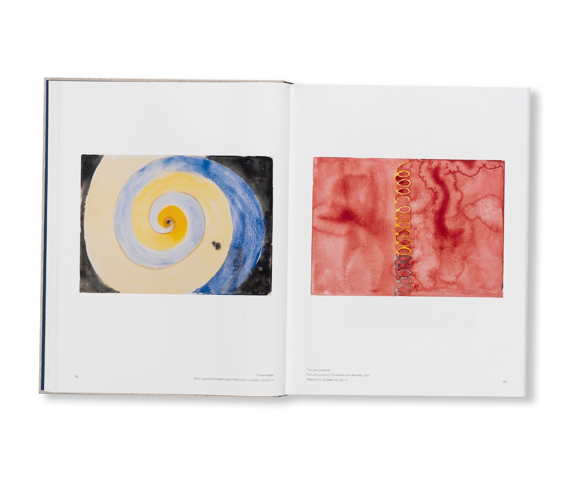 HILMA AF KLINT: LATE WATERCOLOURS 1922–1941: CATALOGUE RAISONNÉ VOLUME VI by Hilma af Klint