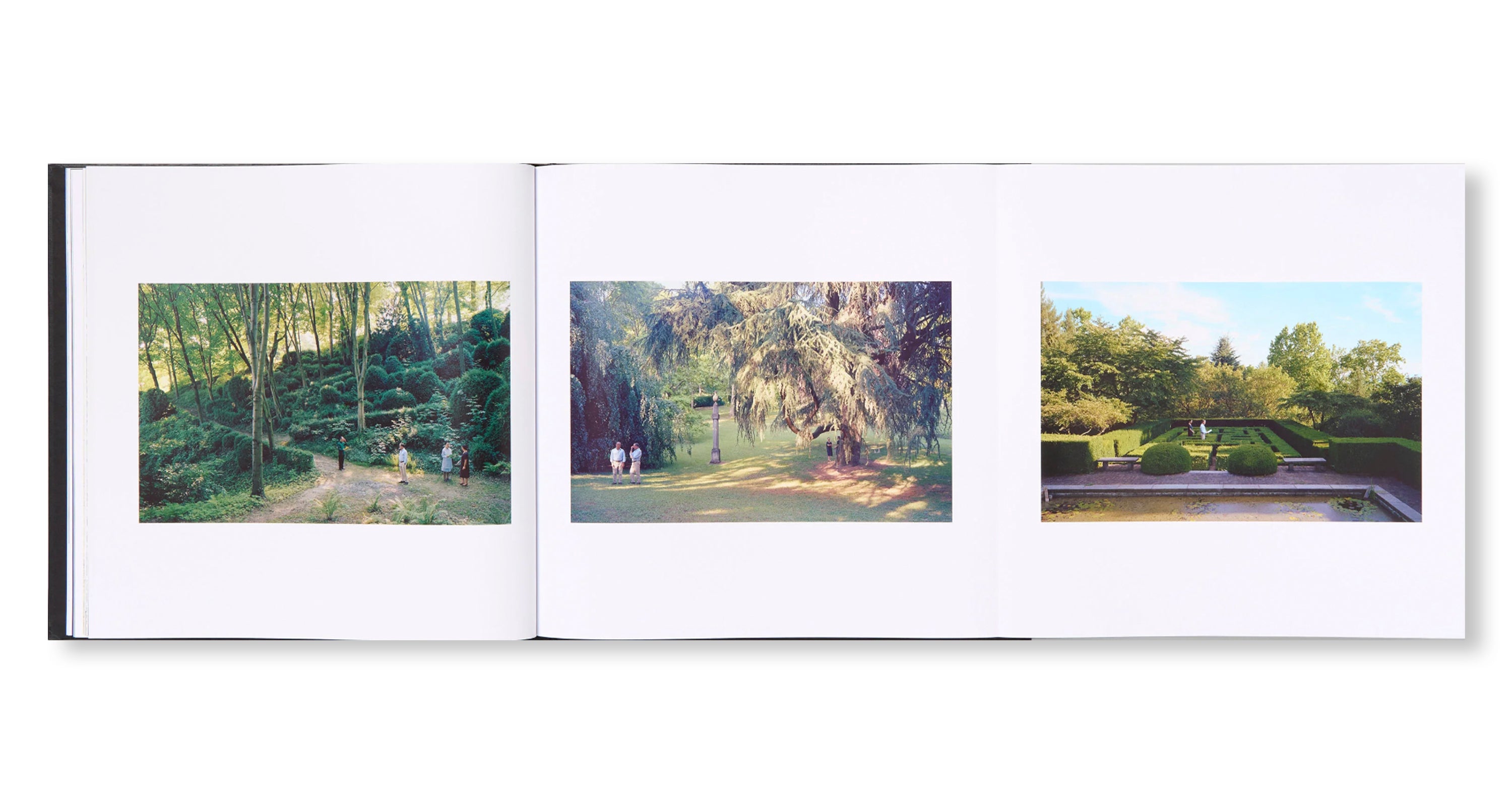 LIFE IN PICTURES by Jeff Wall