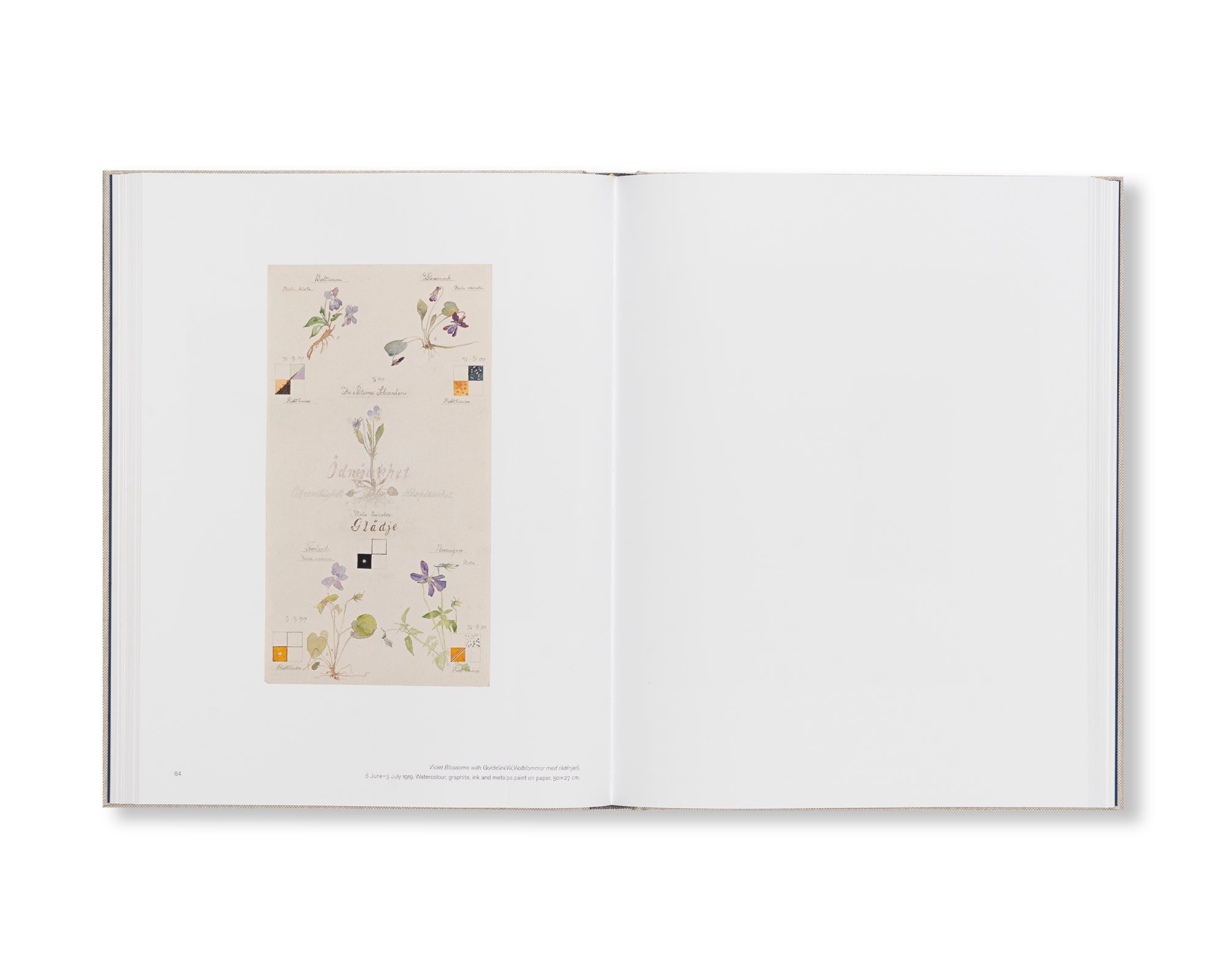 HILMA AF KLINT: GEOMETRIC SERIES AND OTHER WORKS 1917–1920: CATALOGUE RAISONNÉ VOLUME V by Hilma af Klint