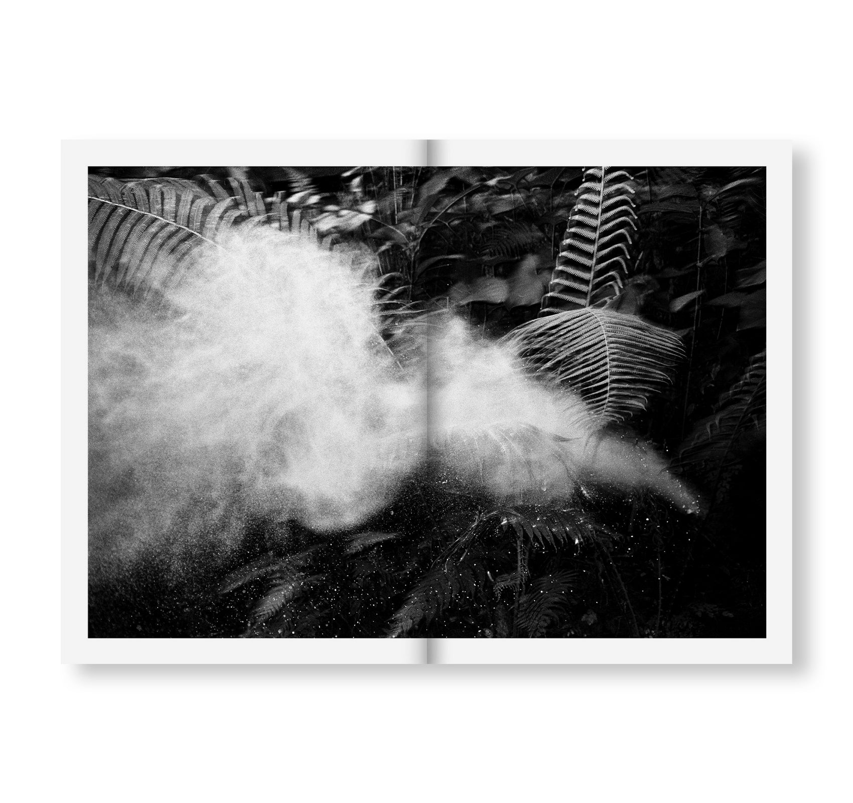 BAYOU by Albert Grøndahl