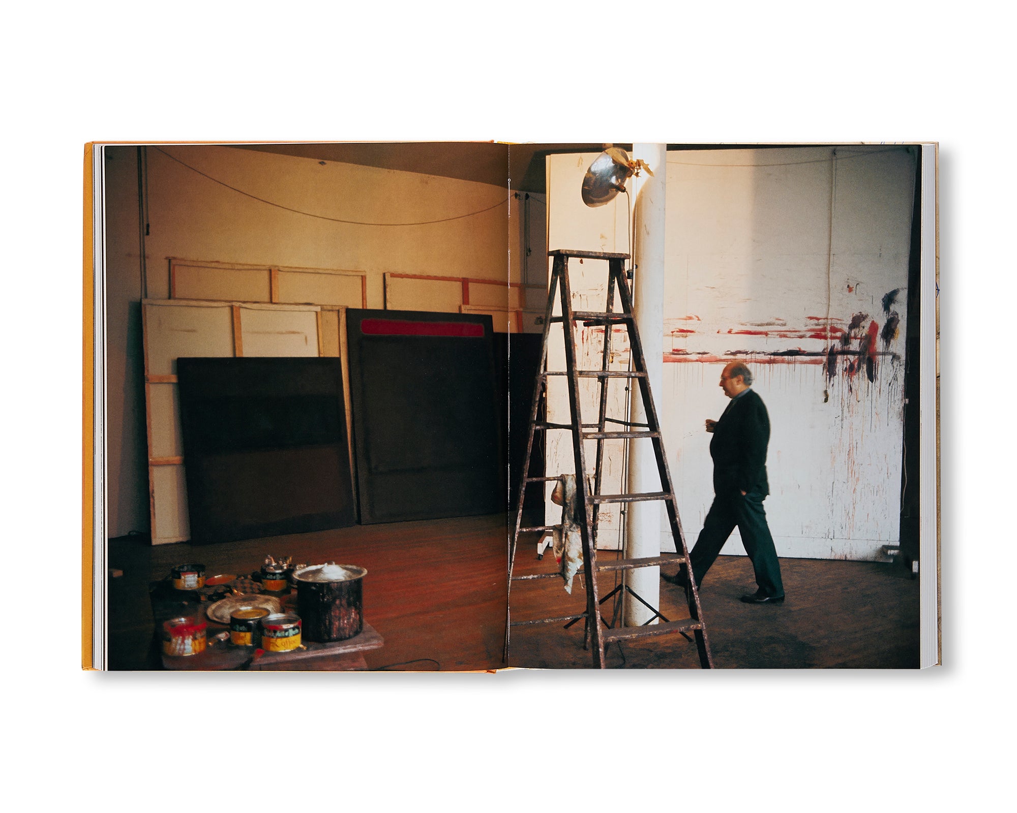 PAINTINGS ON PAPER by Mark Rothko